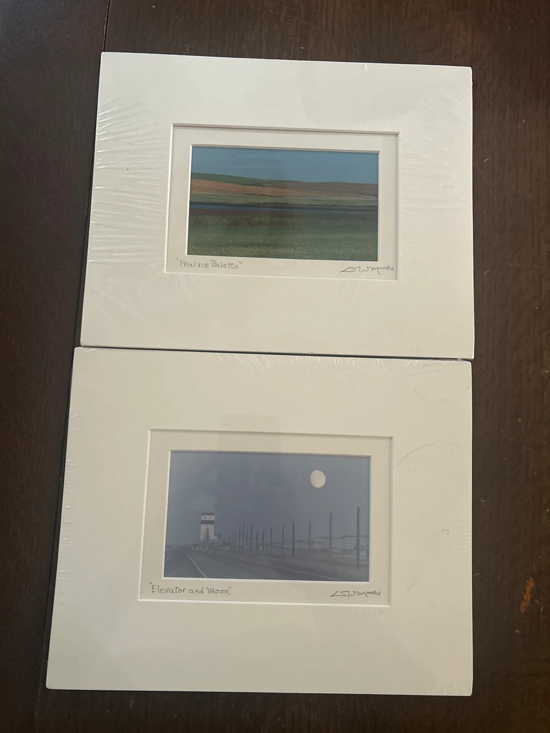 "Elevator and Moon" and "Prairie Palette" Art Prints