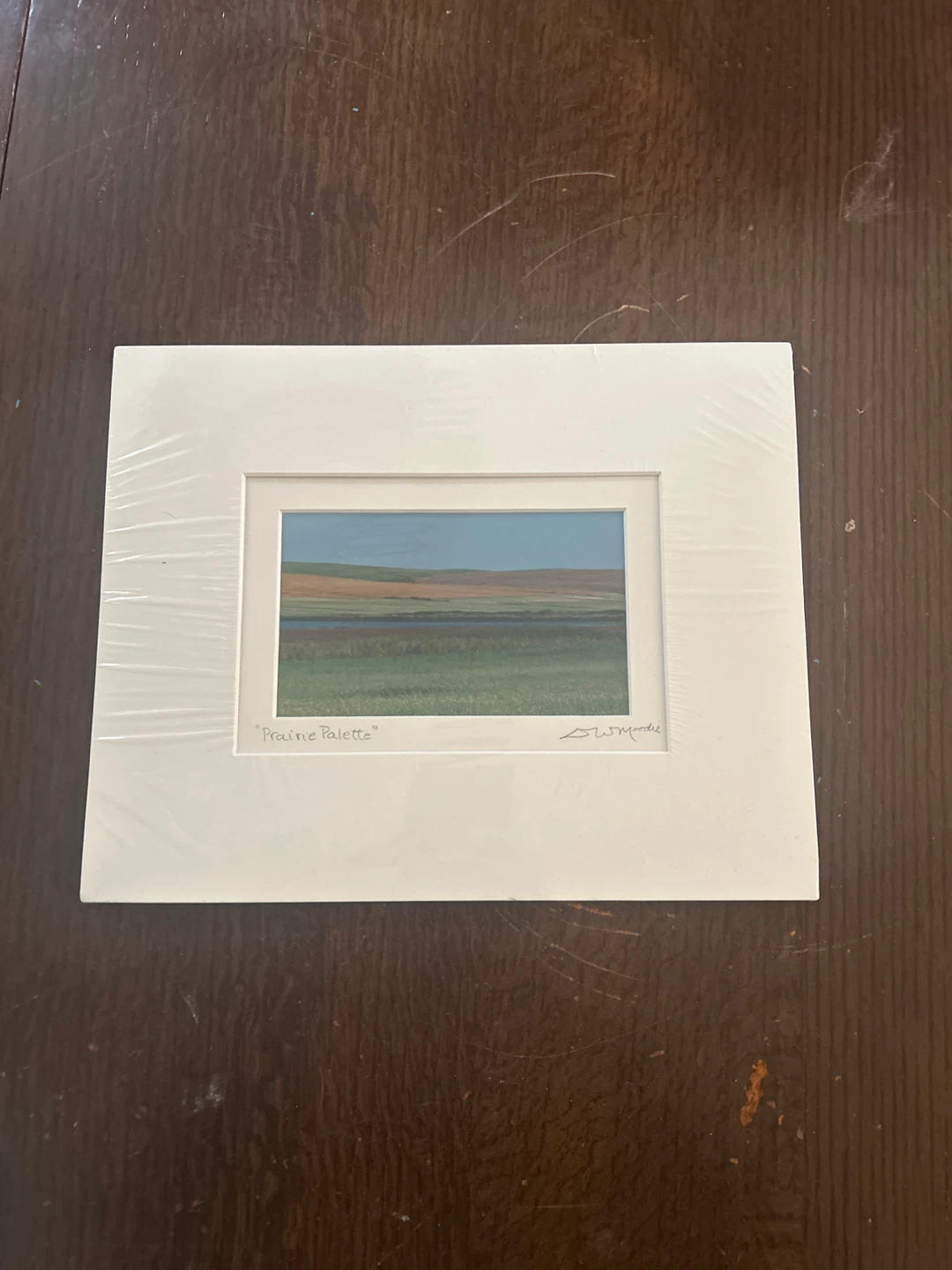 "Elevator and Moon" and "Prairie Palette" Art Prints - photo 2