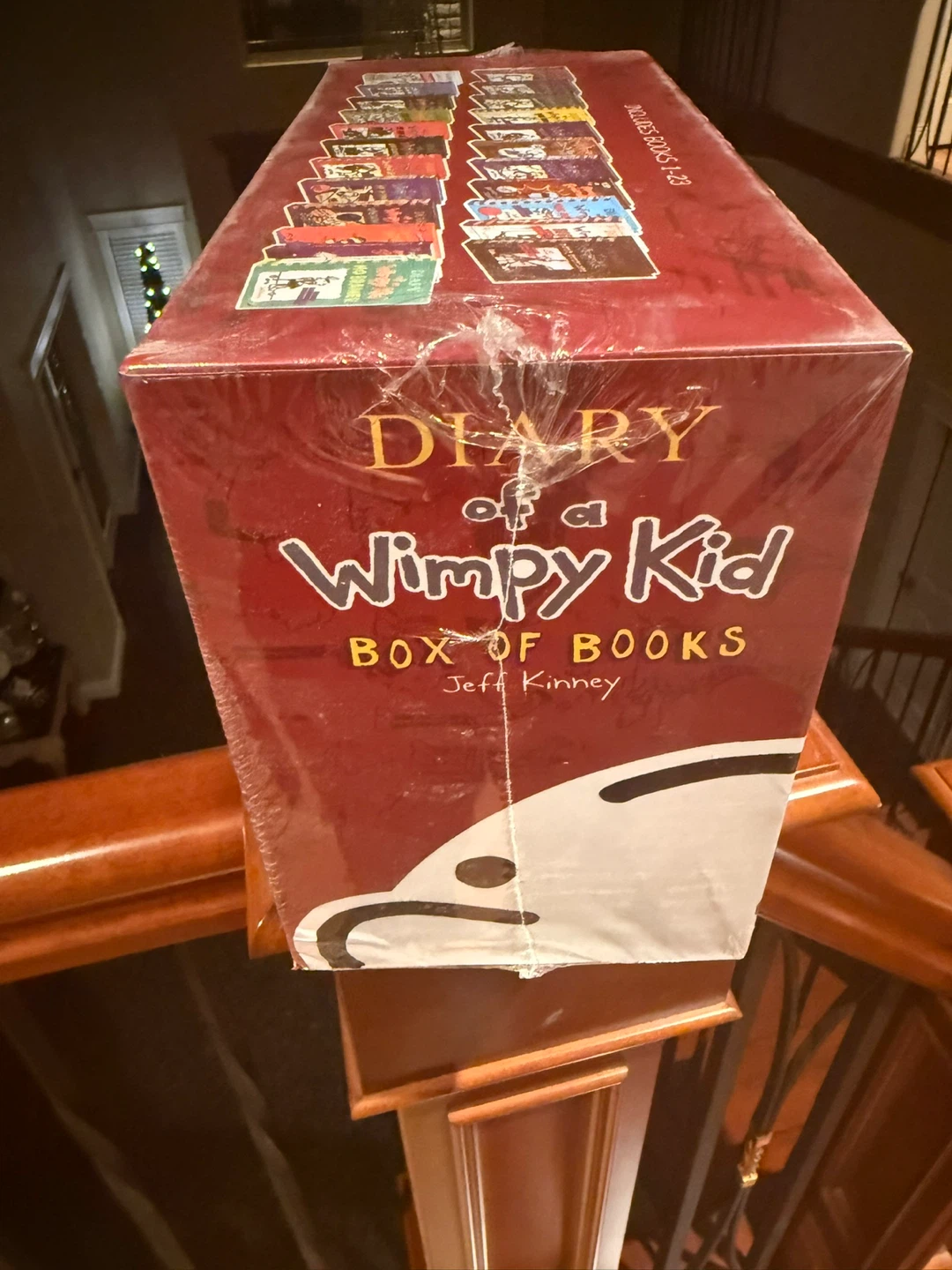 Diary of a Wimpy Kid Box of Books 1-23 - photo 3