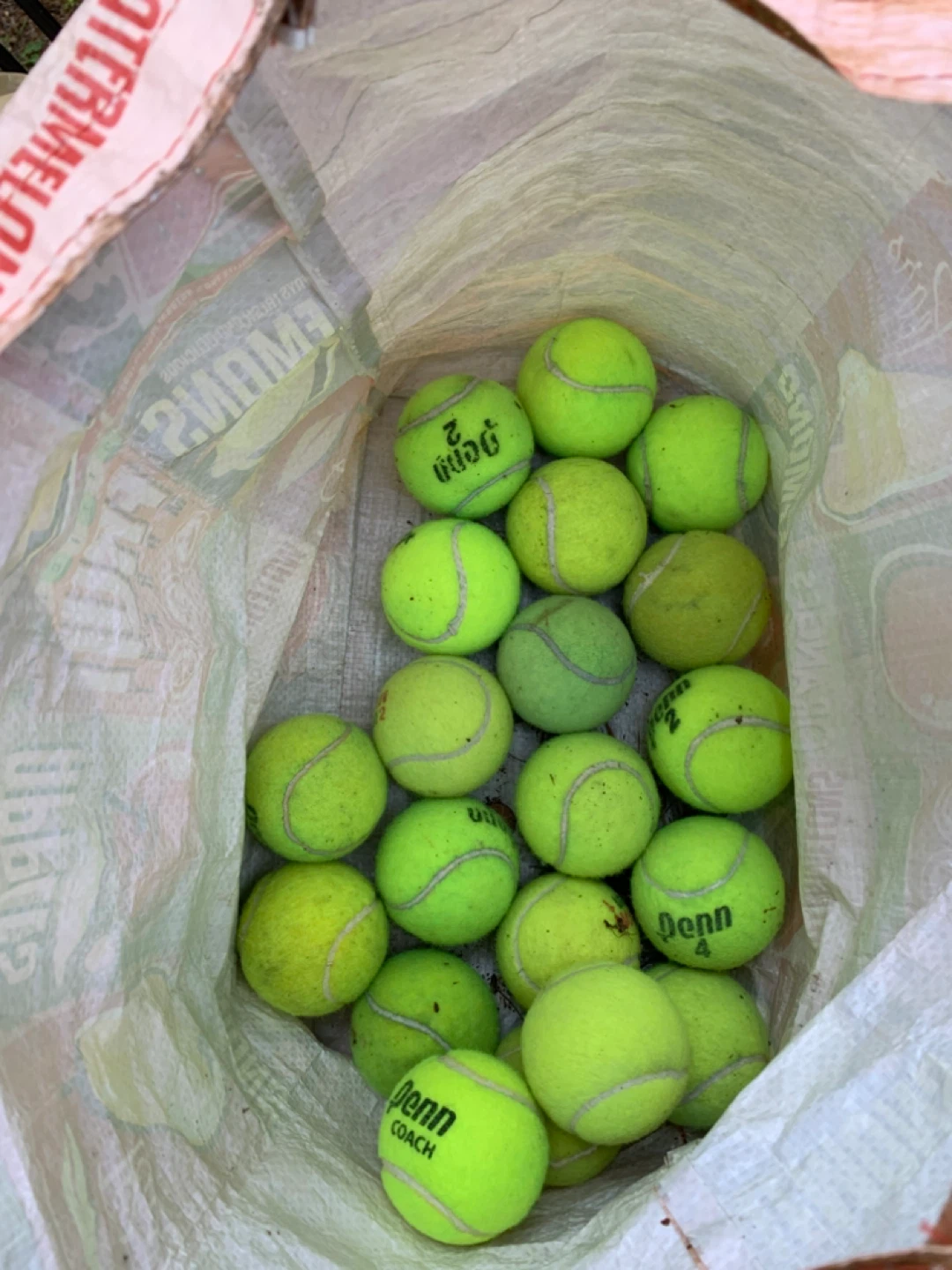 Penn Coach Tennis Balls - Lot of 20+ in Long Island great neck