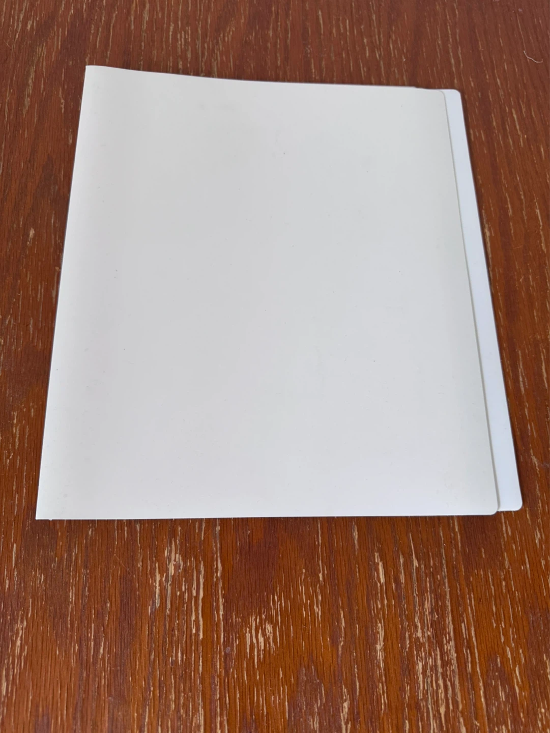 White Plastic Folder - photo 2