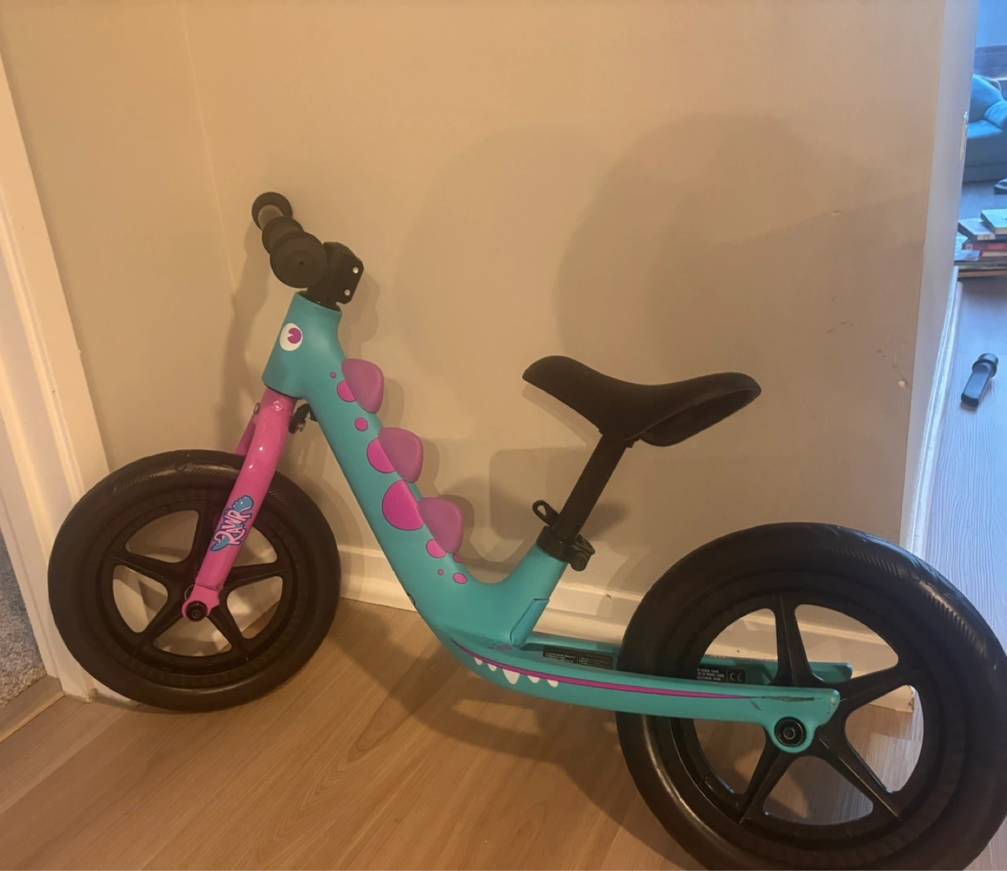 Balance Bike - Teal & Purple