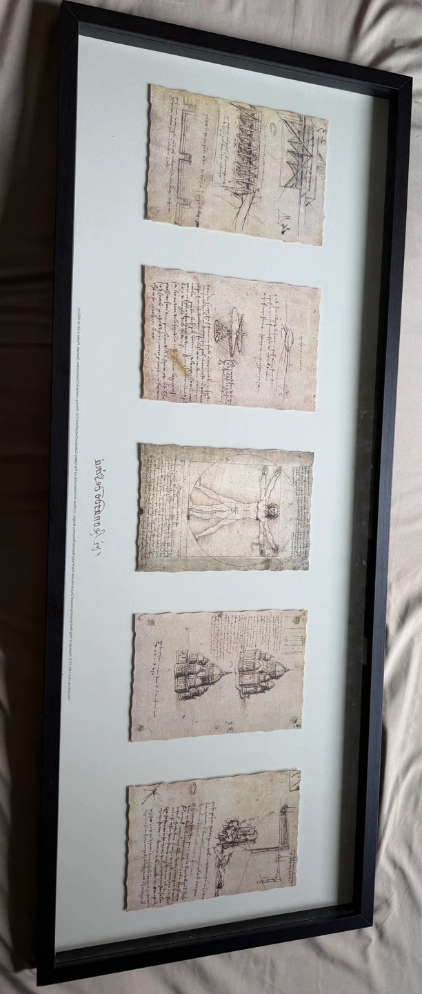 Leonardo da Vinci Sketch Wall Art Frame
