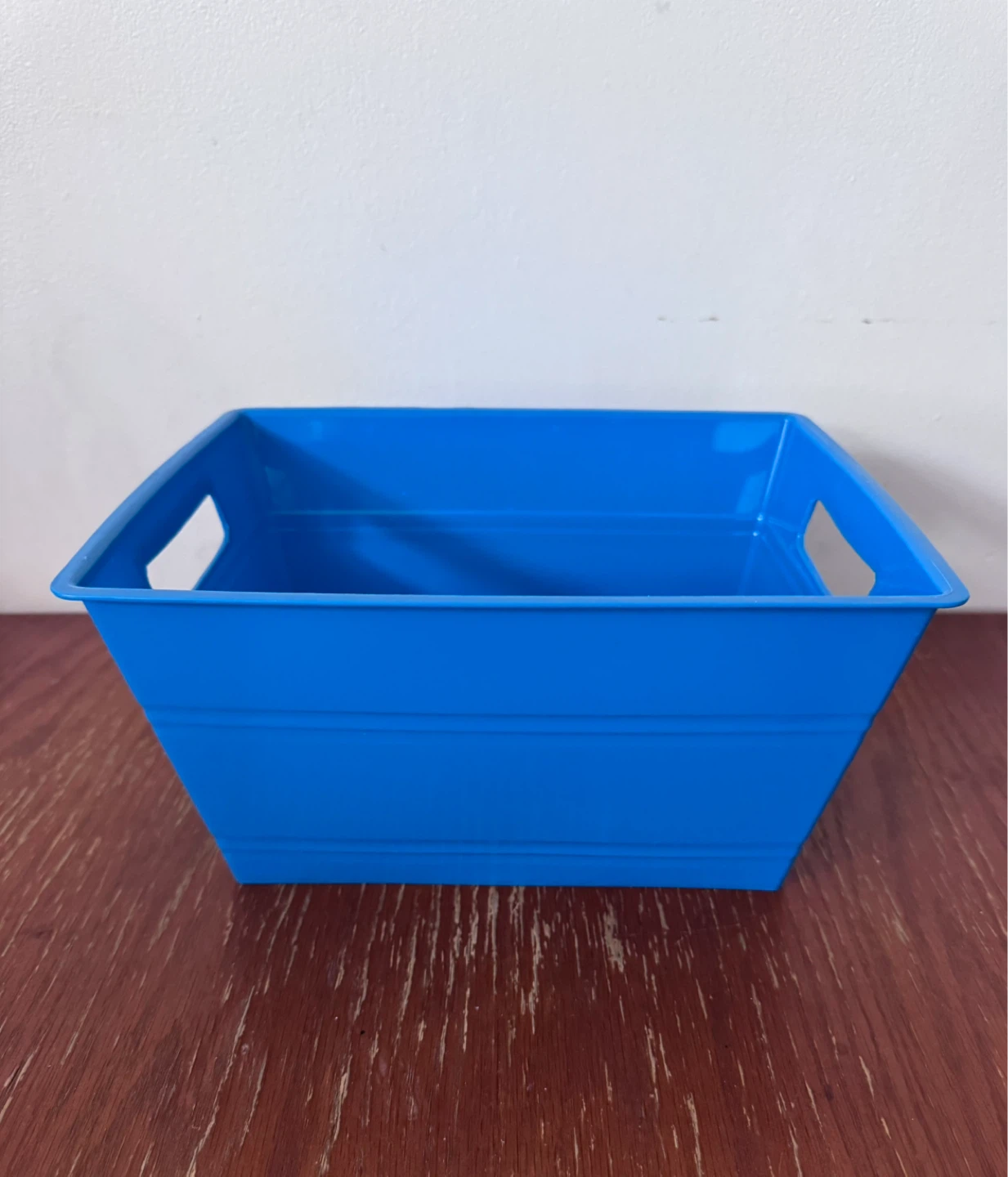 Plastic Storage Bin with Handles