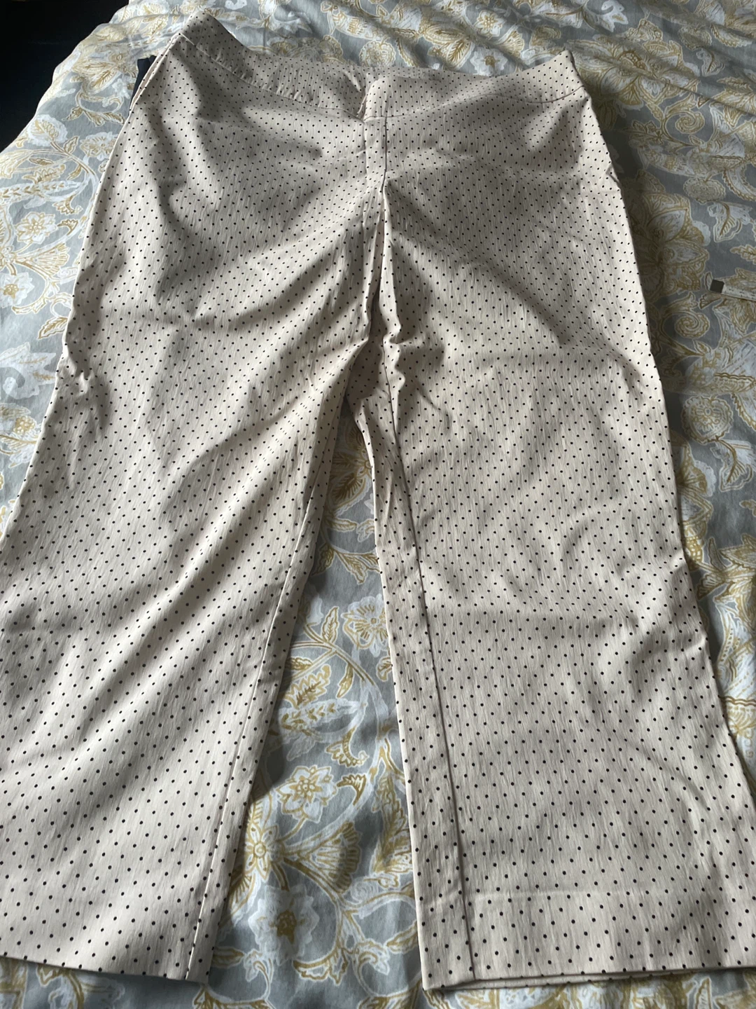 Cleo Petites Polka Dot Pants Size L - photo 2