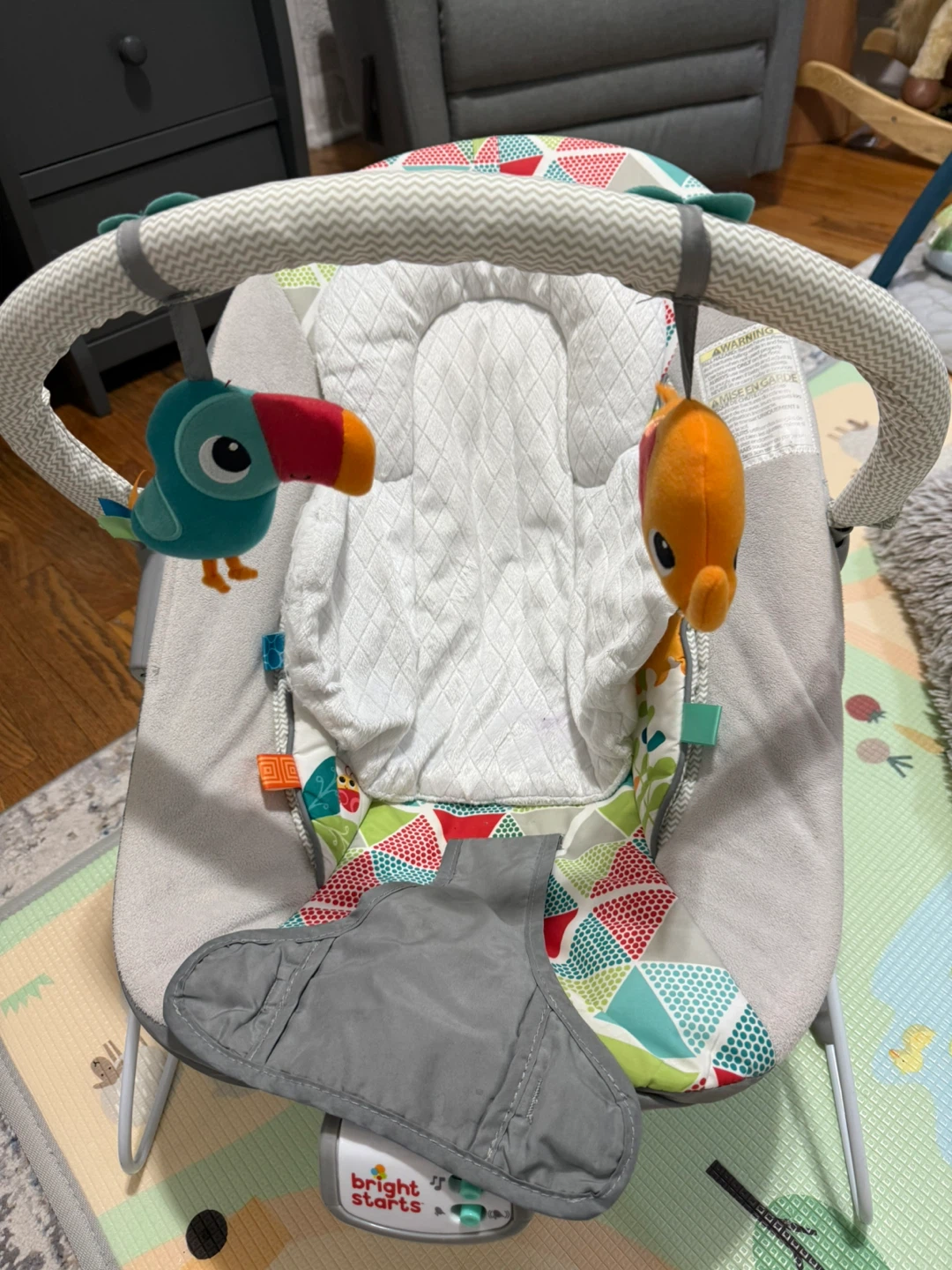 Bright Starts Baby Bouncer - photo 2