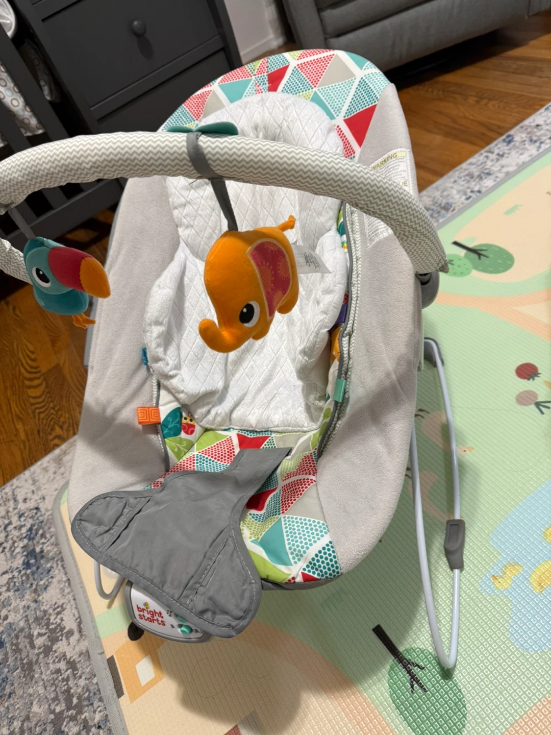 Bright Starts Baby Bouncer
