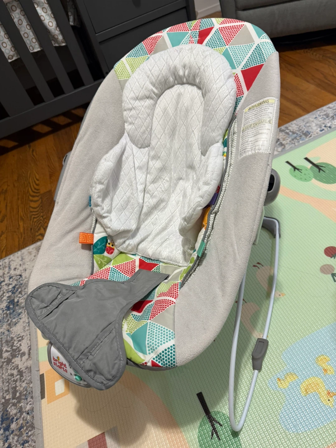 Bright Starts Baby Bouncer - photo 3