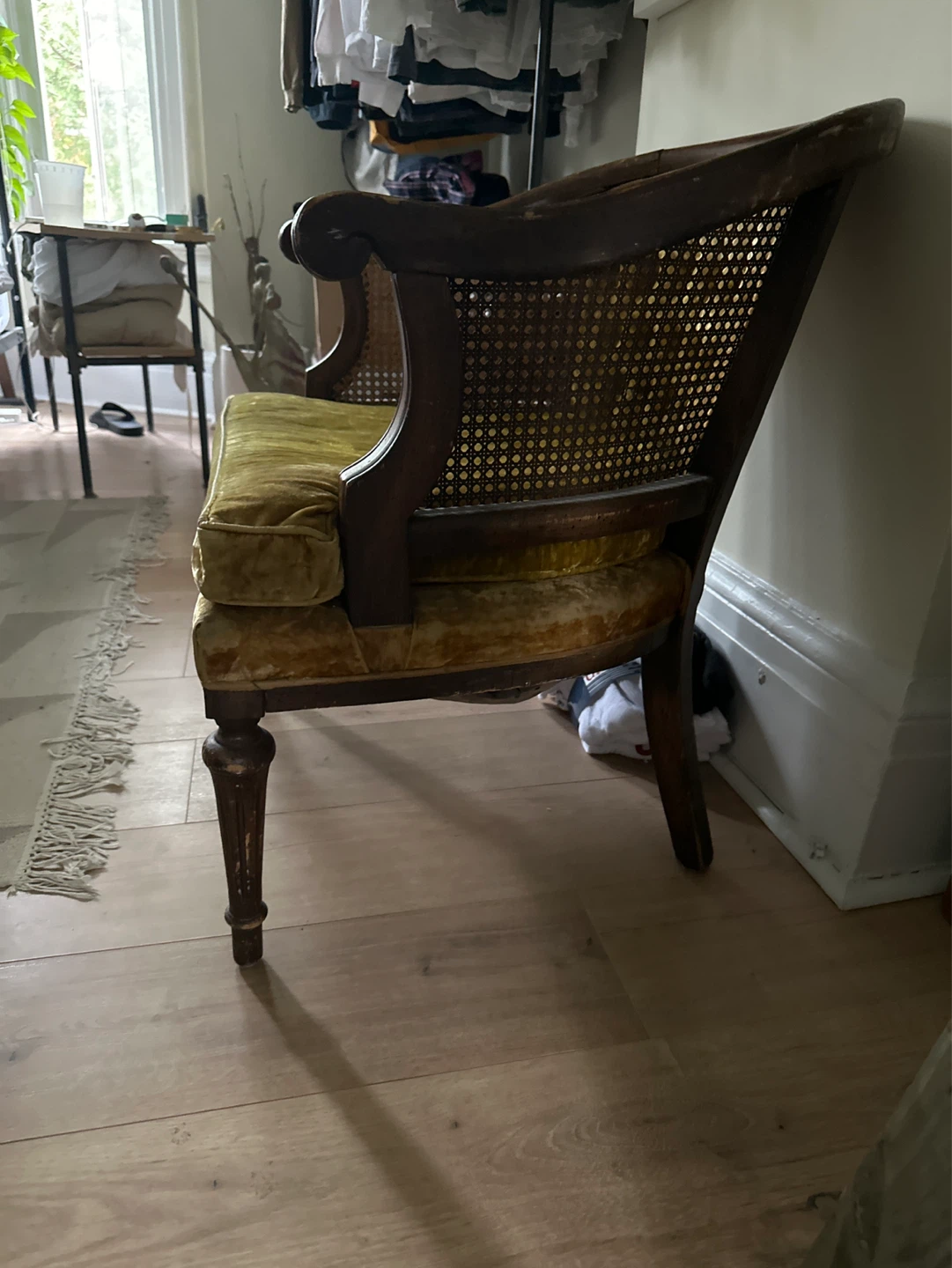 Vintage Cane Back Armchair - Gold Velvet - photo 4