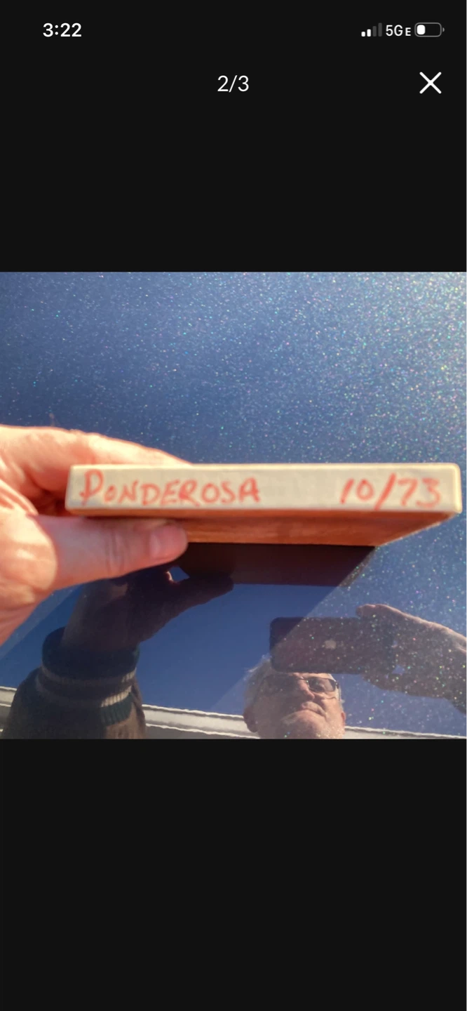 Ponderosa Systems Speak House Audio Tape 10/73 - photo 2