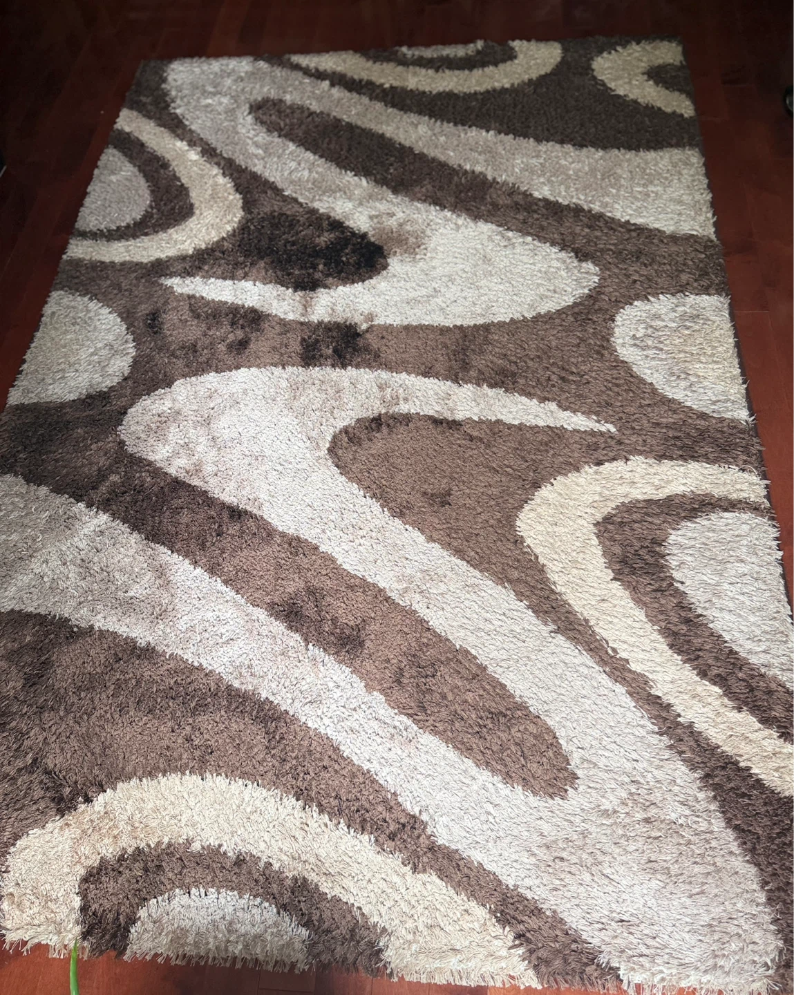 Shag Area Rug - Brown and Cream Swirl Pattern - photo 2