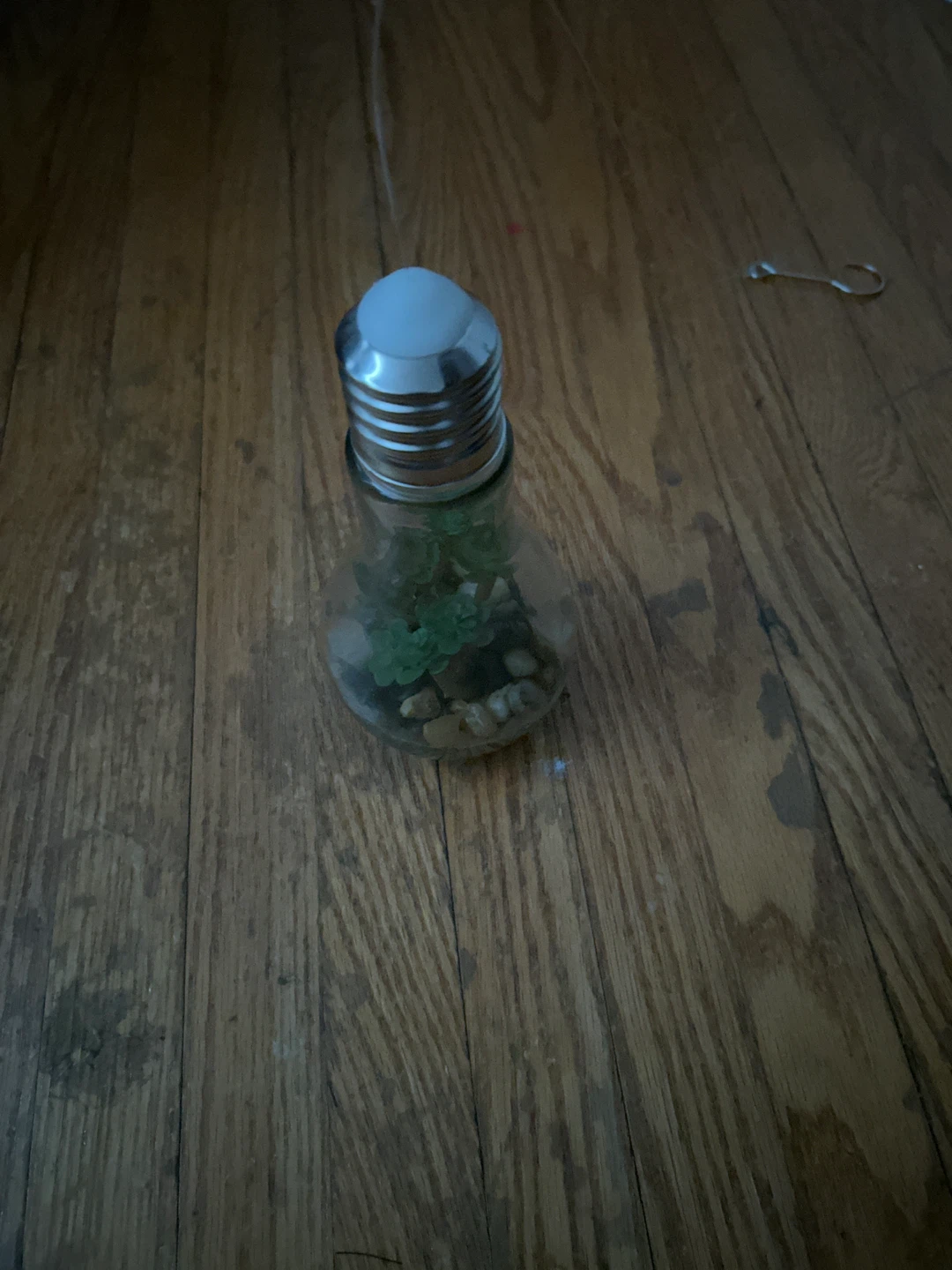 Hanging Light Bulb Terrarium with Succulents - photo 2