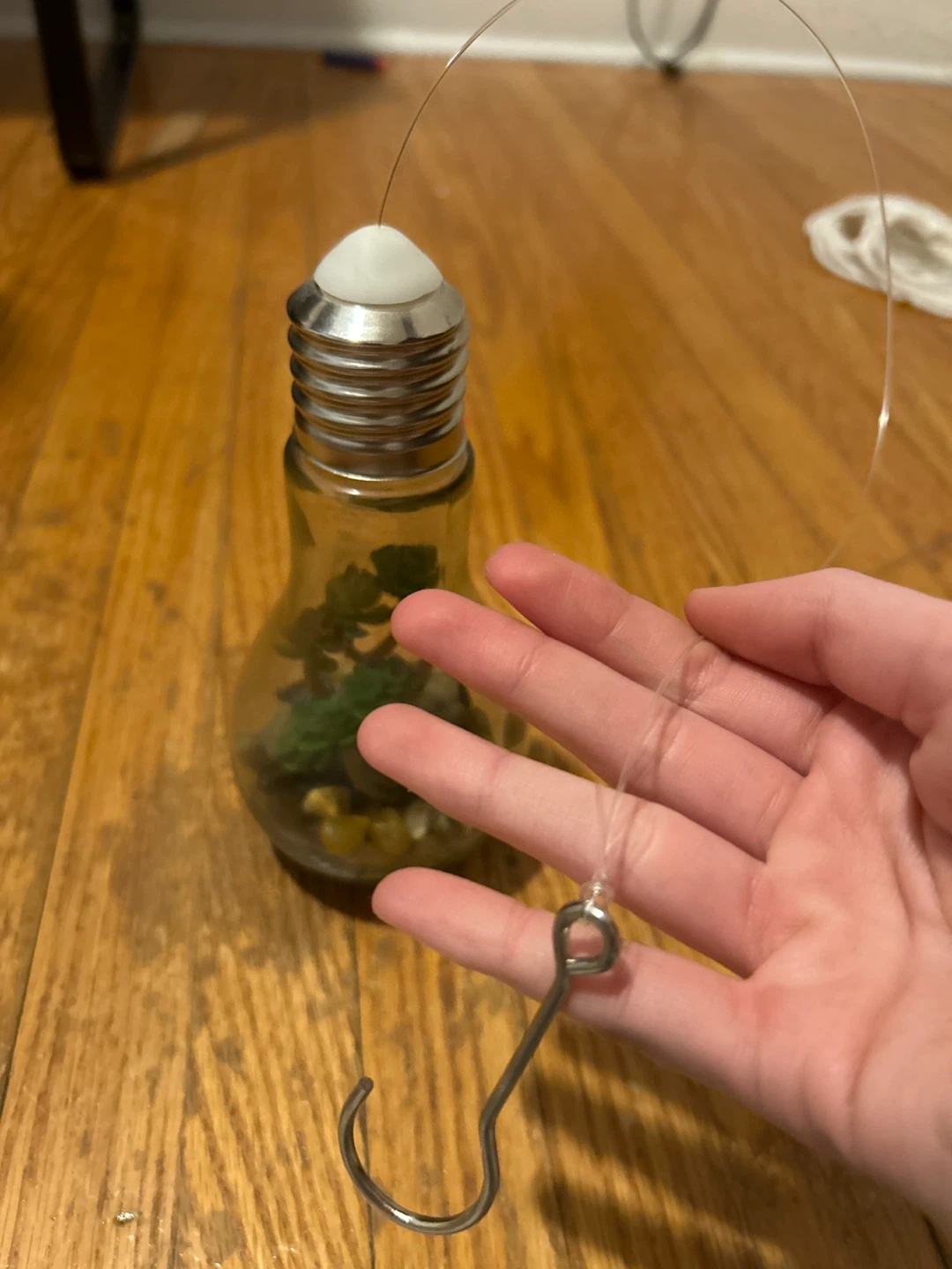 Hanging Light Bulb Terrarium with Succulents - photo 3