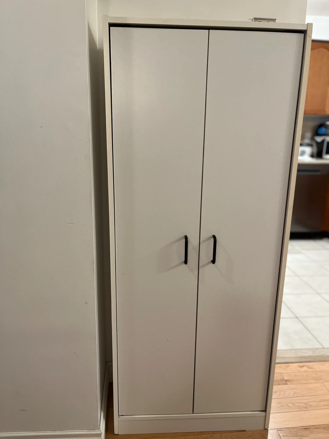 White Tall Cabinet with Two Doors - photo 4