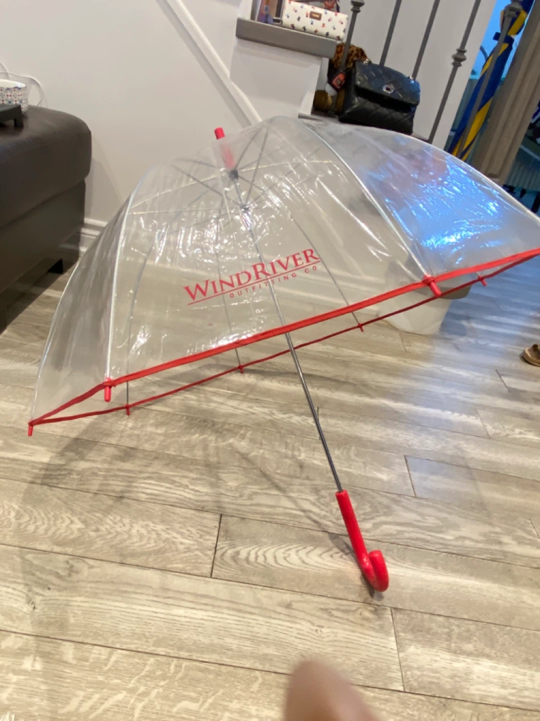 Windriver Outfitters Clear Umbrella