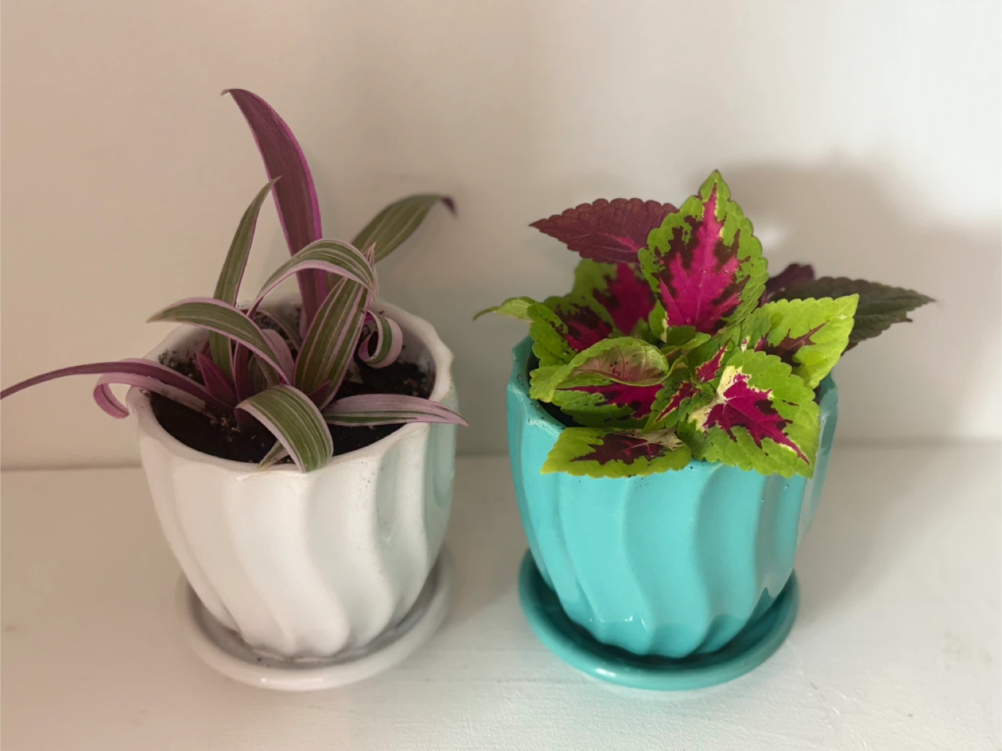 Set of 2 Ceramic Planters with Saucers