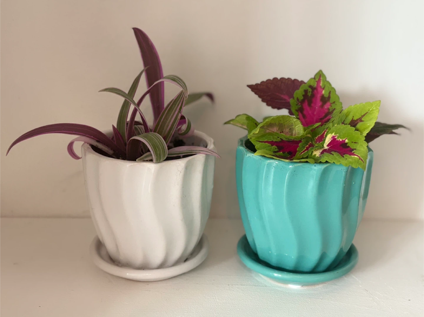 Set of 2 Ceramic Planters with Saucers - photo 2