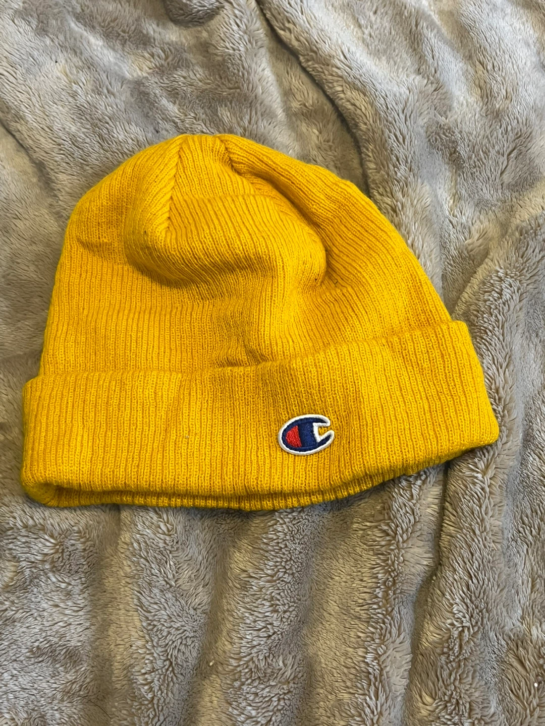 Champion Beanie & School of Design Beanie - photo 3