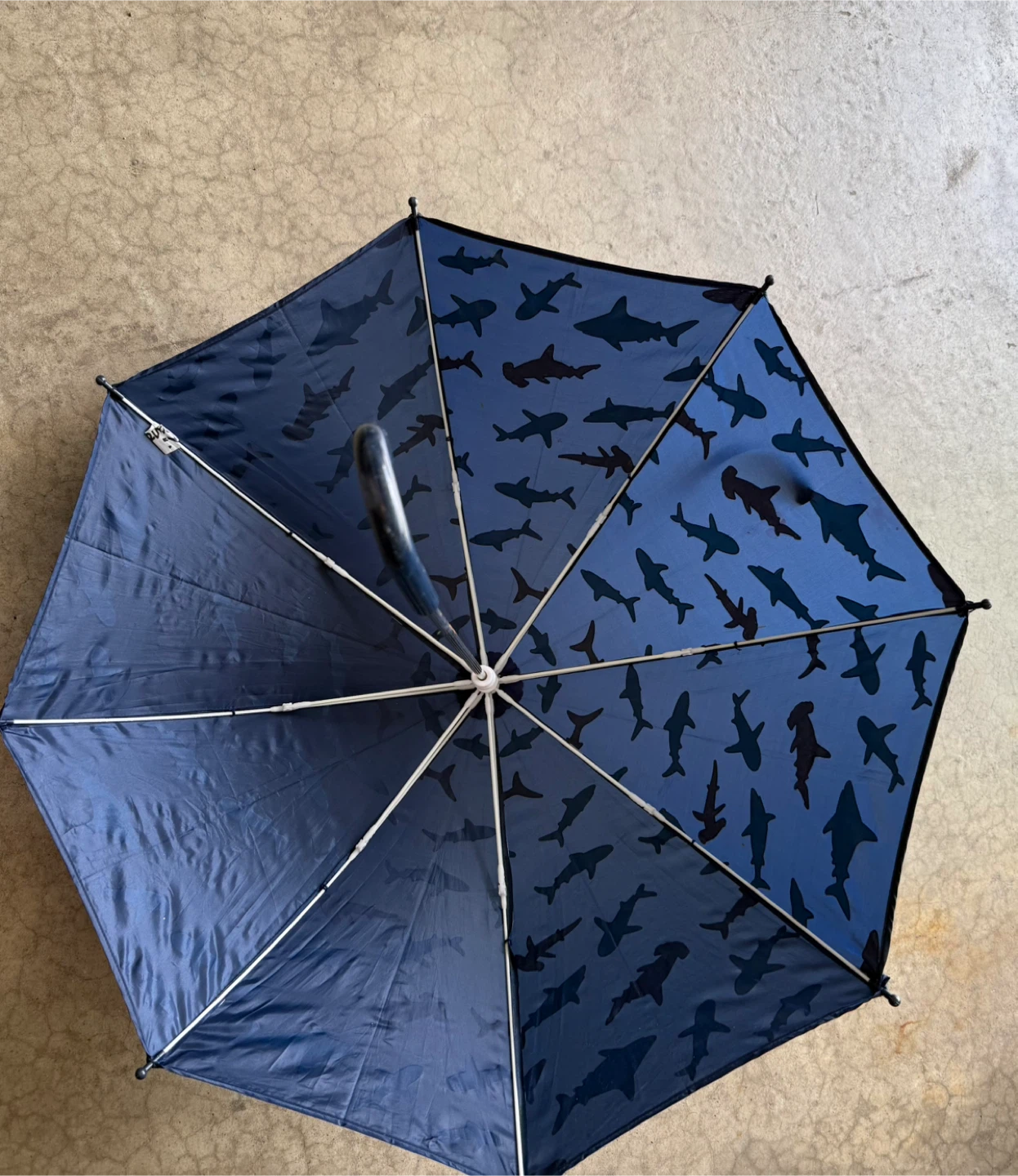 Kids Shark Print Umbrella