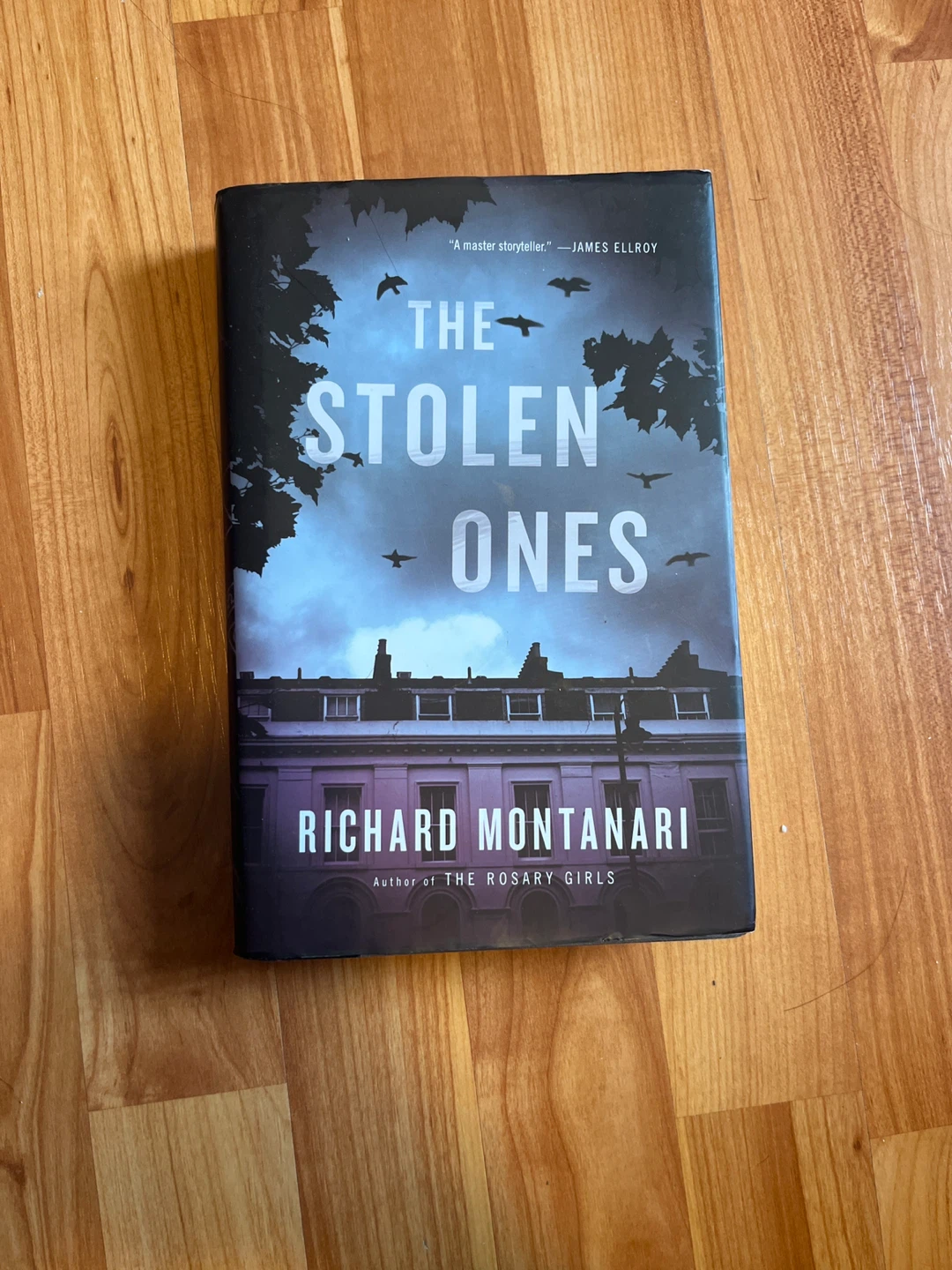 The Stolen Ones by Richard Montanari