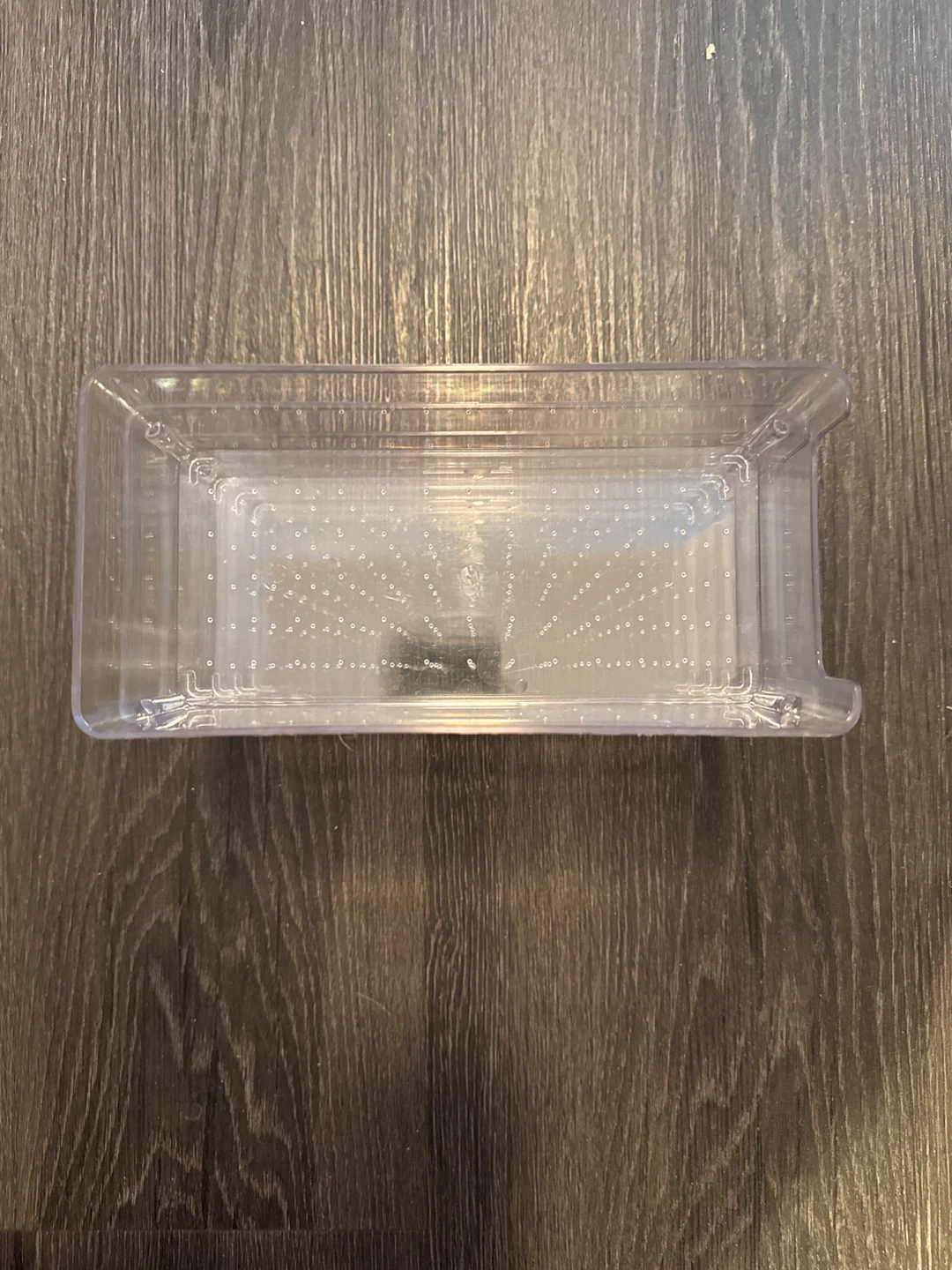 Clear Plastic Container with Perforated Insert