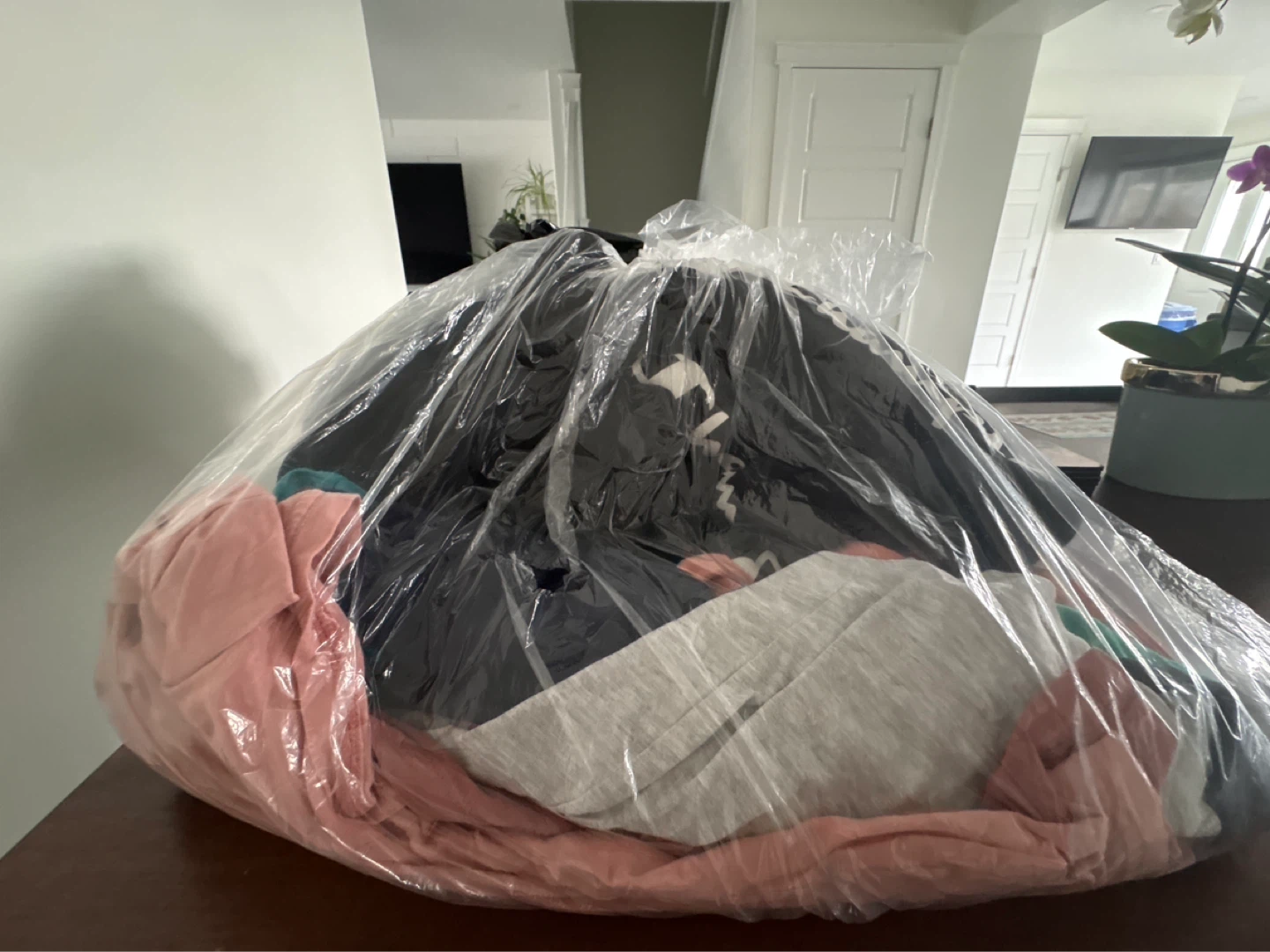 FREE bag of assorted girls/kids clothing