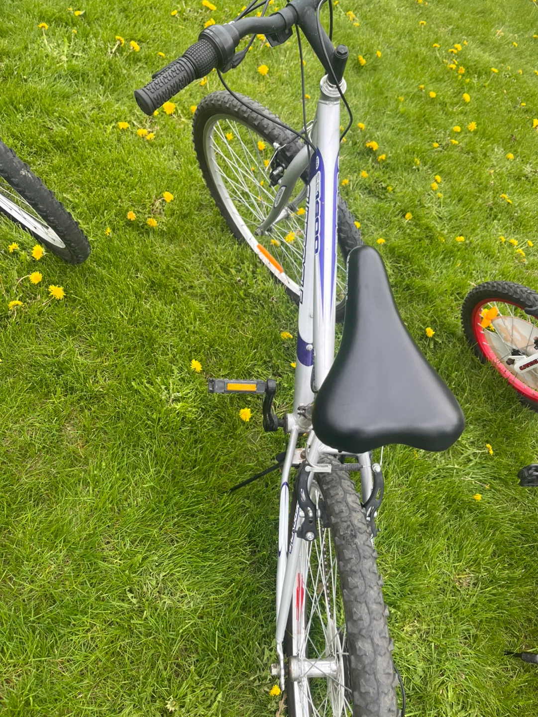 Supercycle 1800 Bicycle