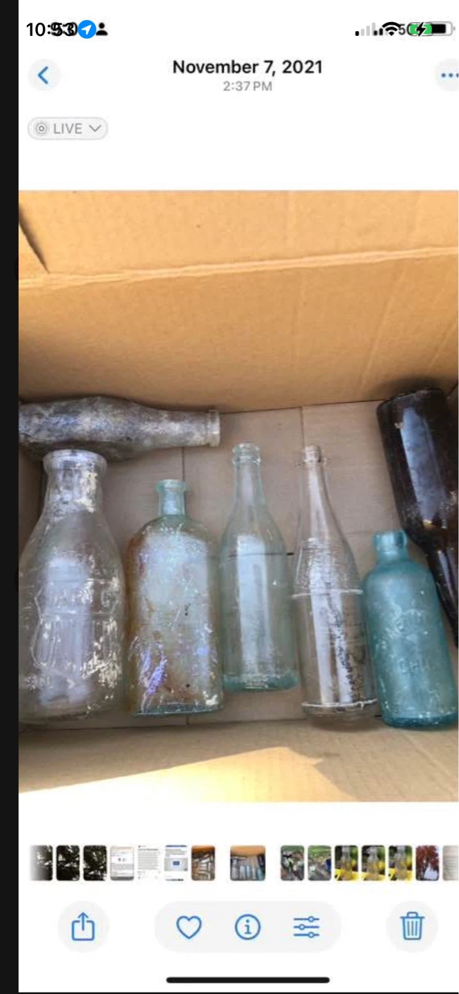 Collection of Vintage Glass Bottles