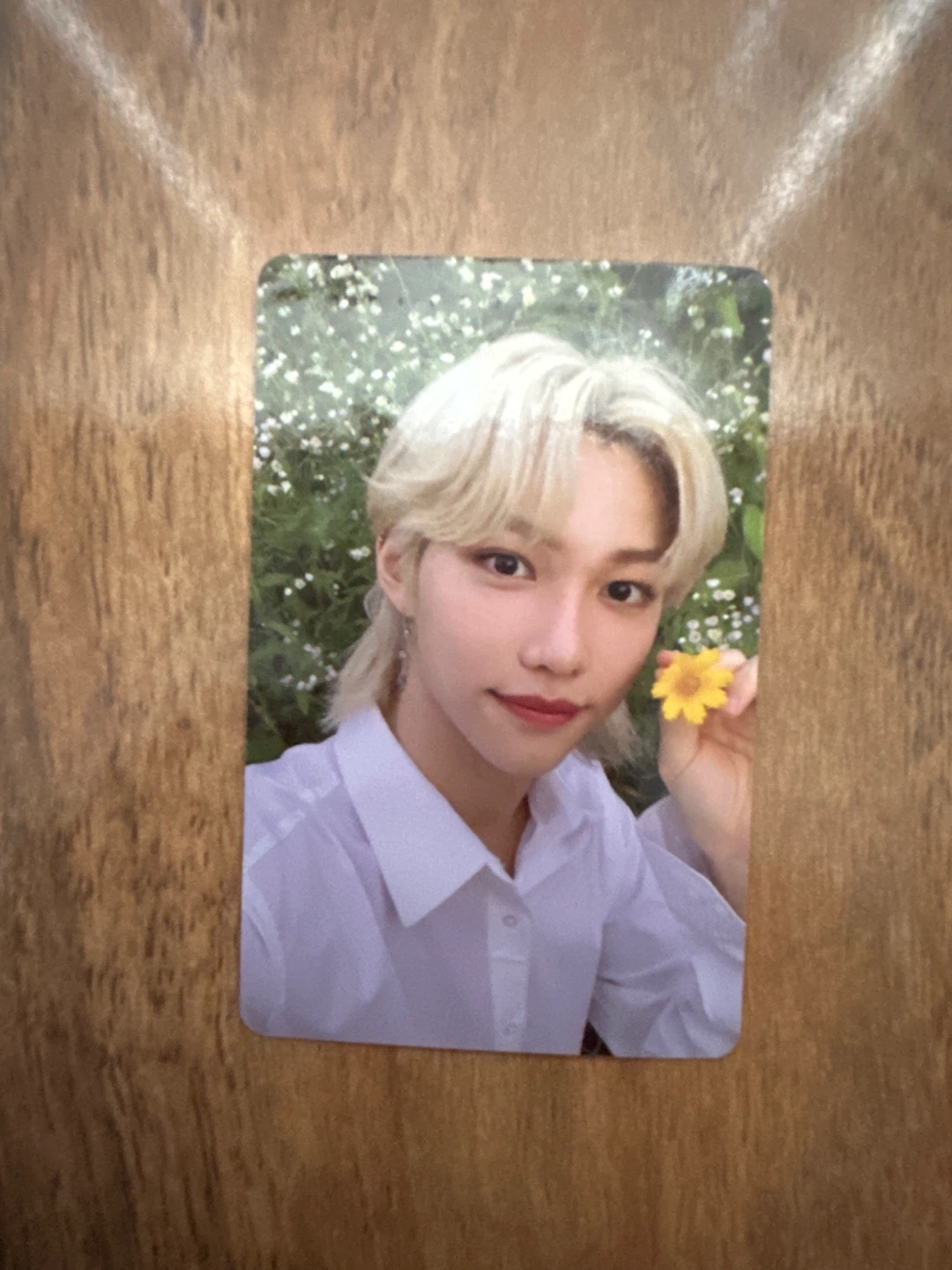 Stray Kids Felix Photocard Noeasy