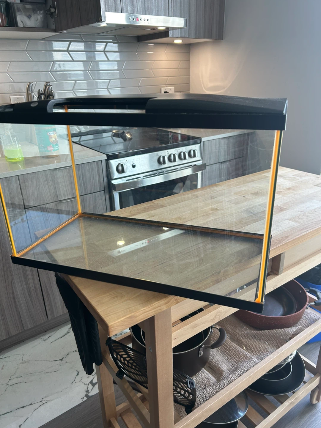 Glass Aquarium Tank