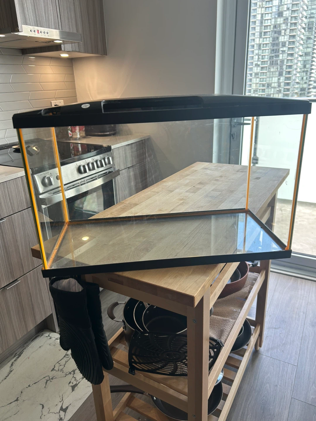 Glass Aquarium Tank - photo 3