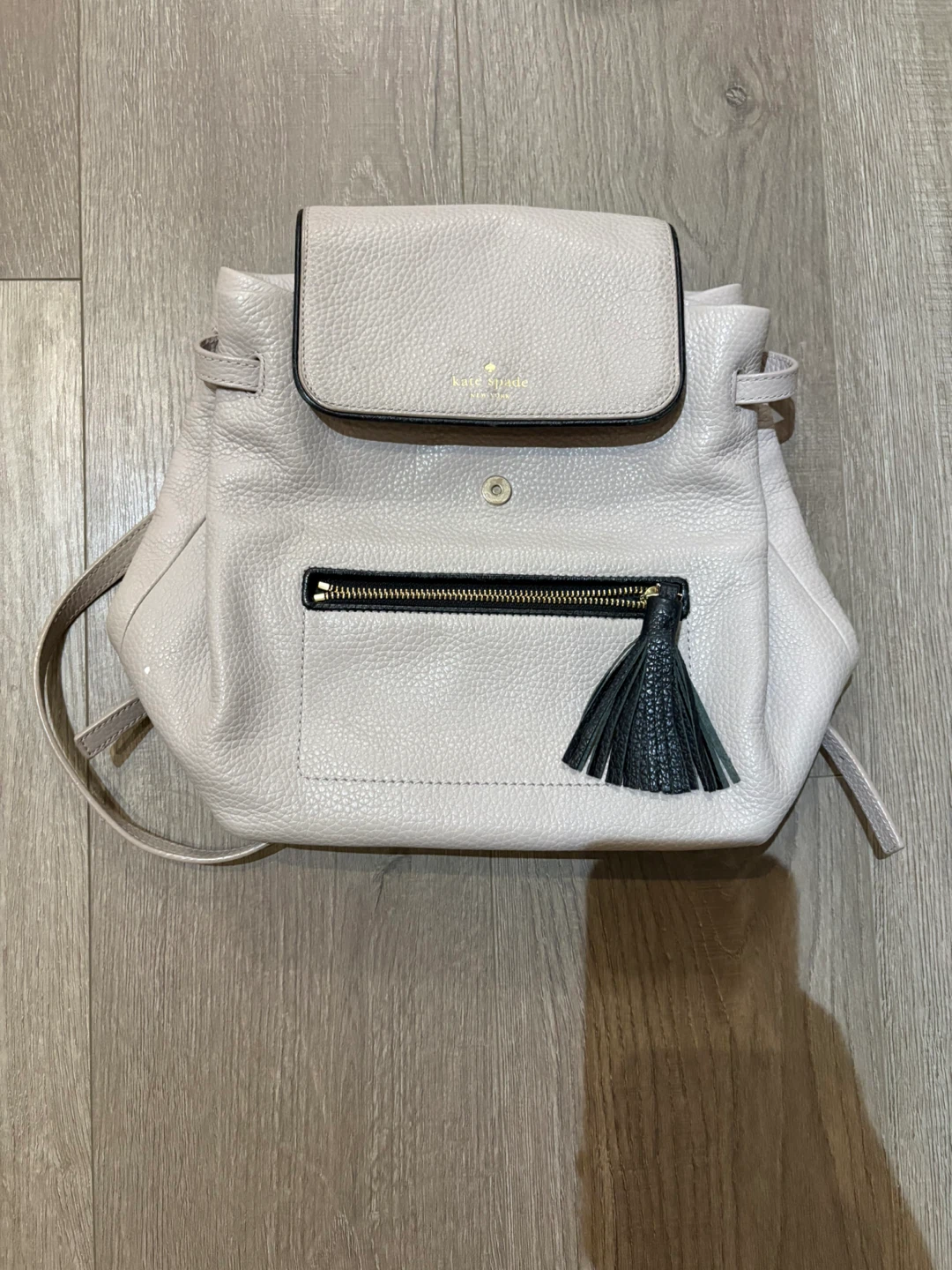 Kate Spade Chester Street Kayce Backpack