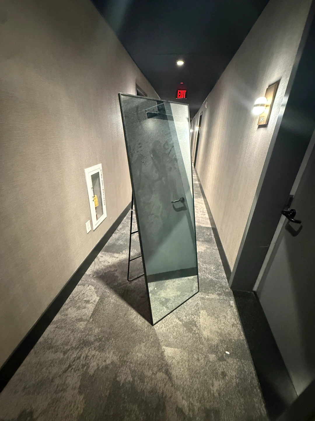 Full Length Standing Mirror with Black Frame
