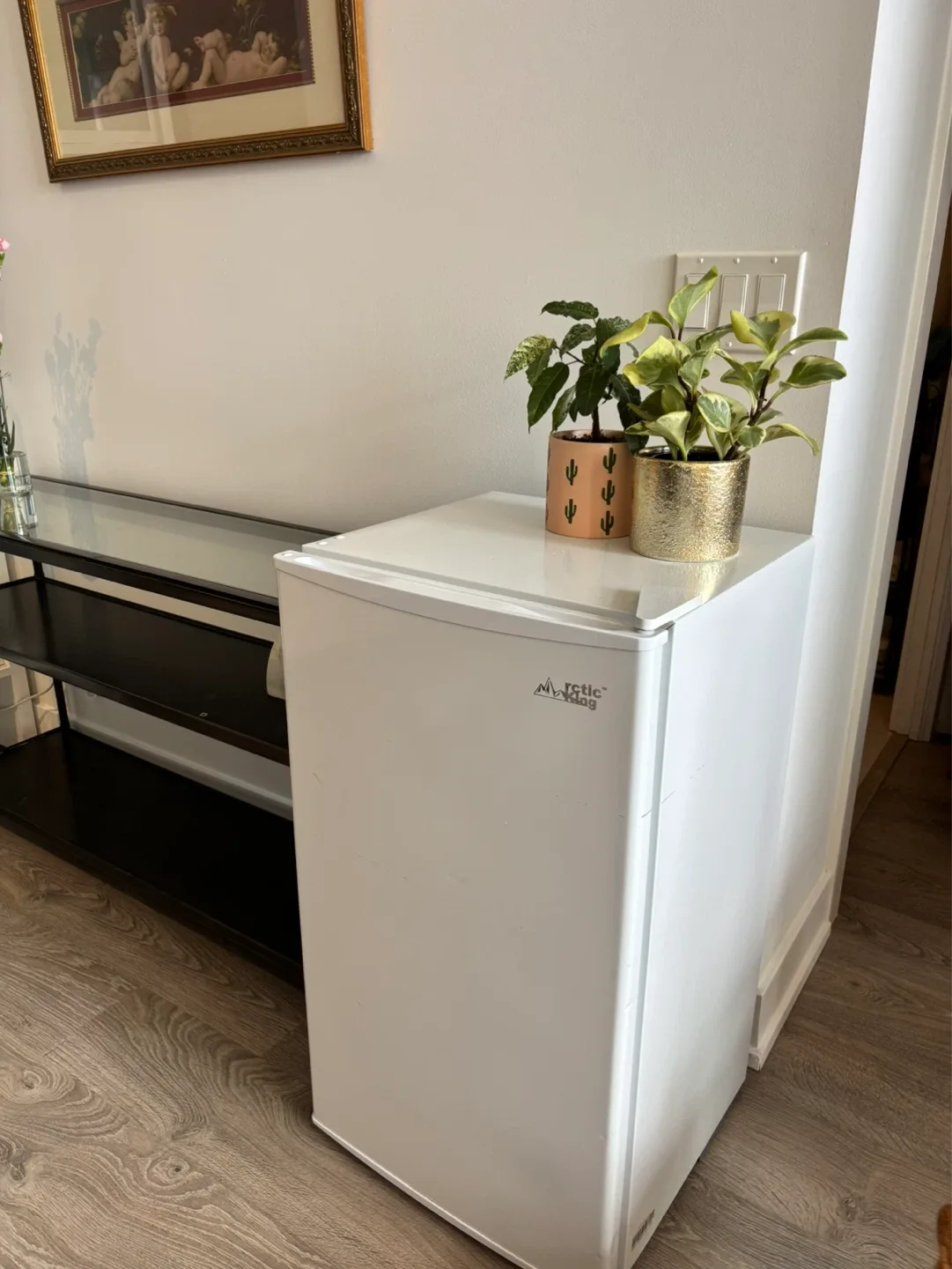 Arctic Air White Mini Fridge