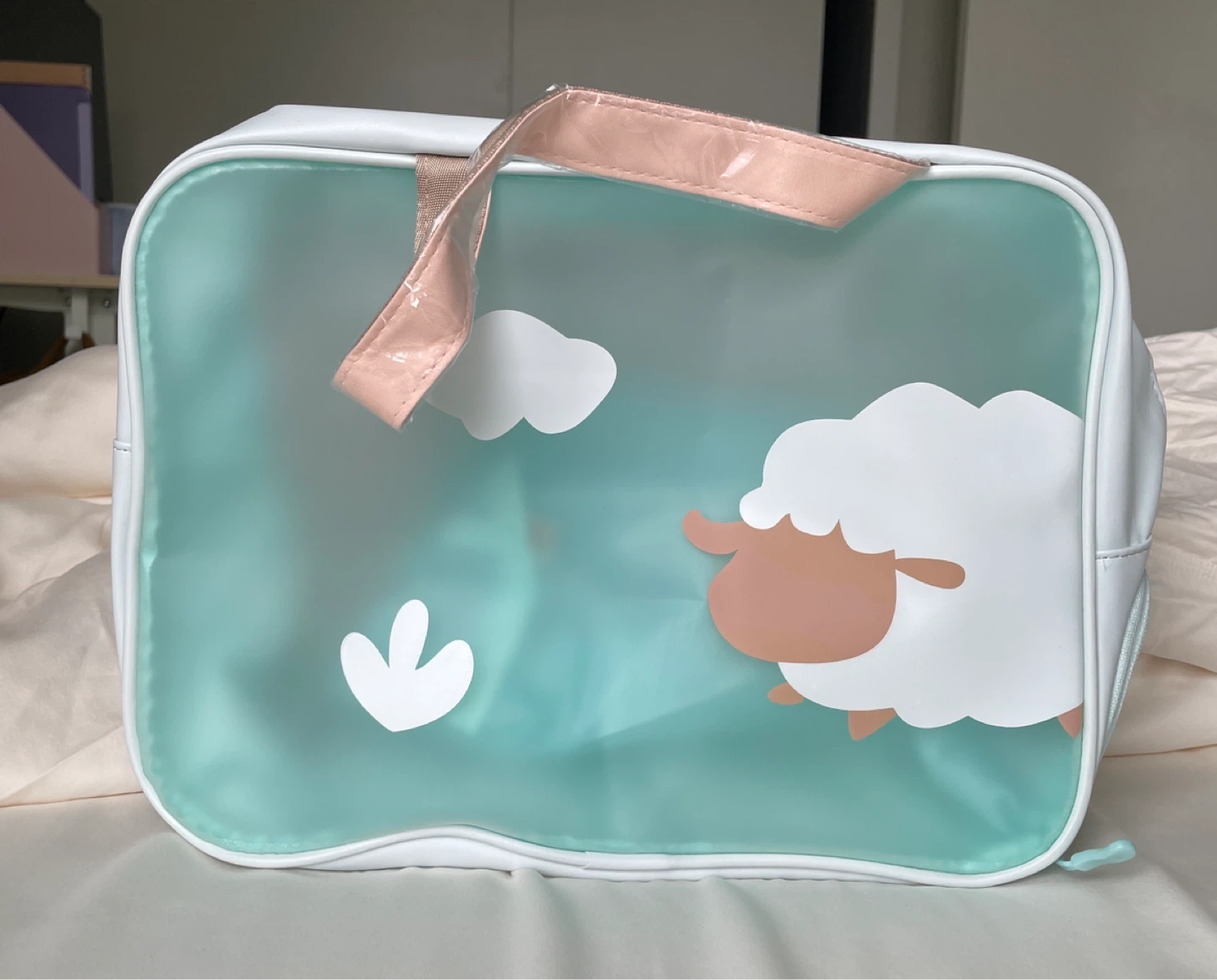Clear Travel Toiletry Bag with shoes container