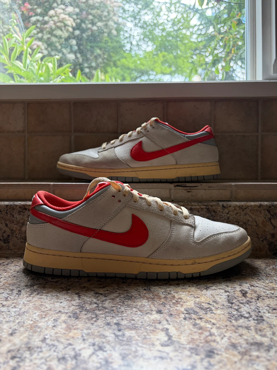 Nike Dunk Low SE Grey Red Men's Shoes