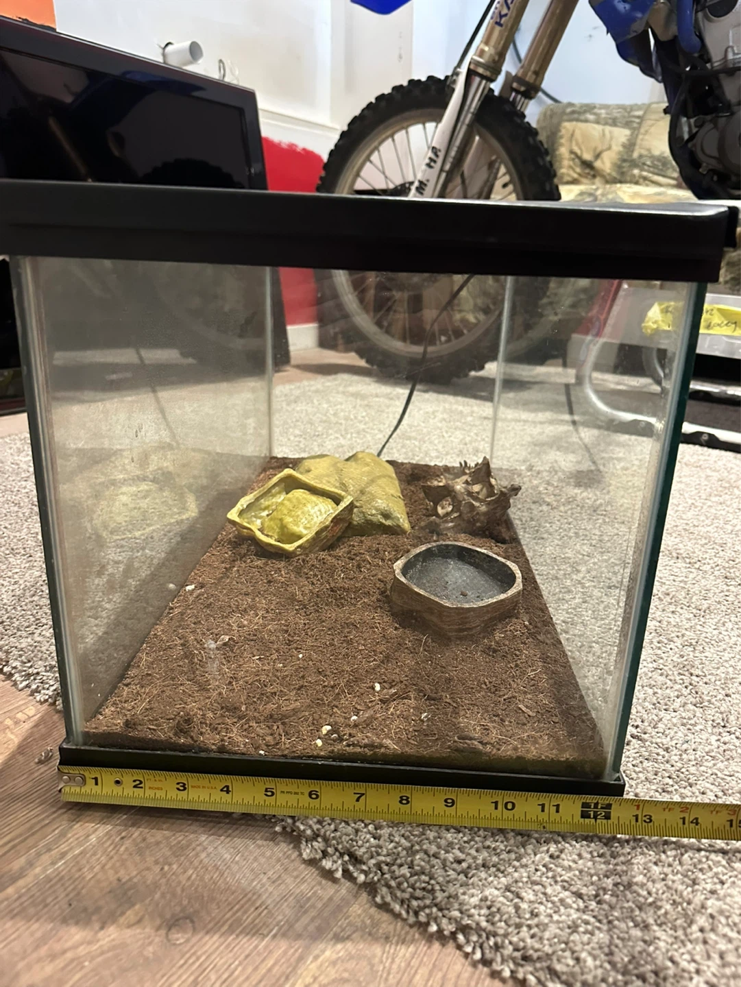 Glass Terrarium Tank