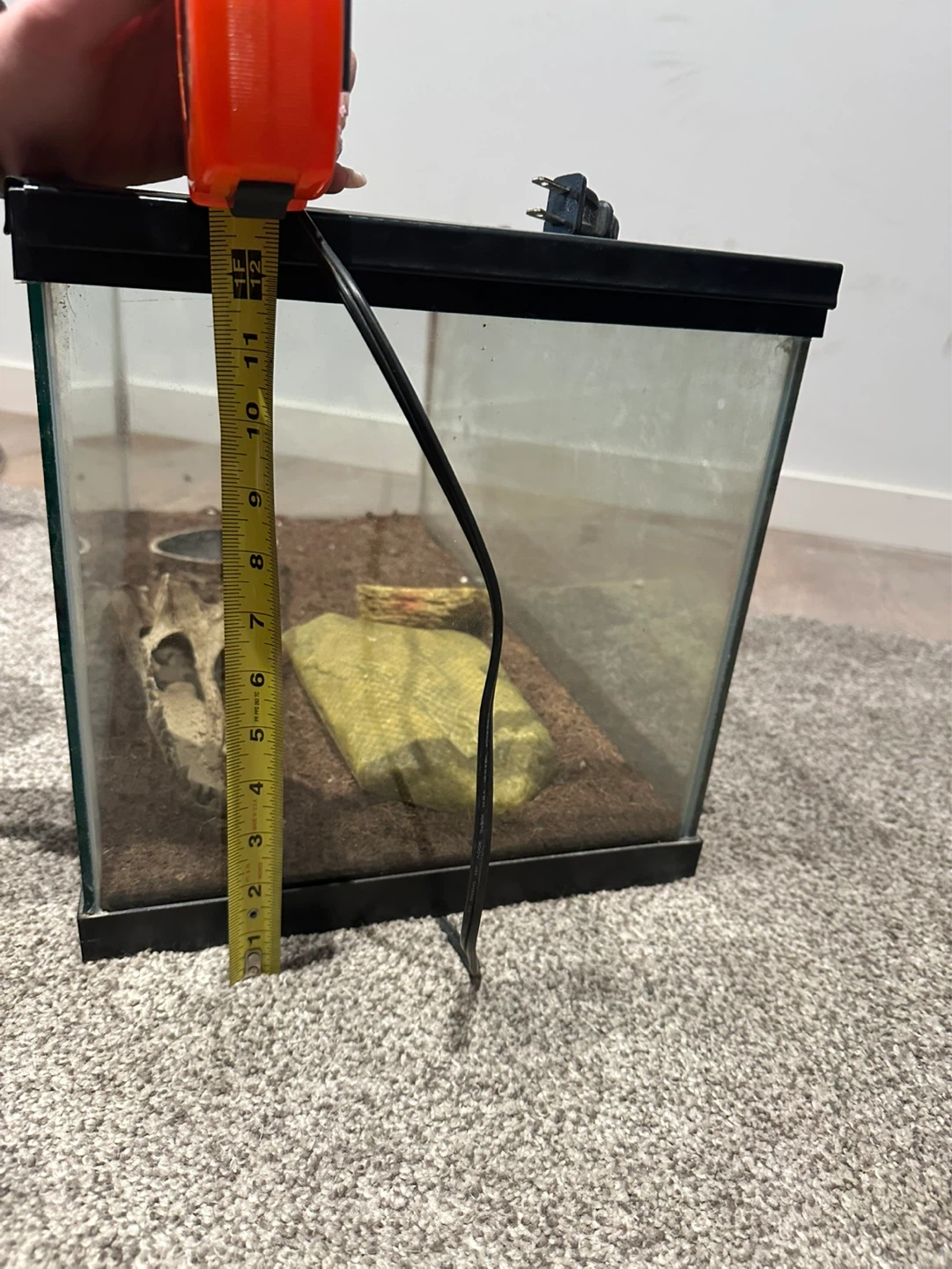 Glass Terrarium Tank - photo 3