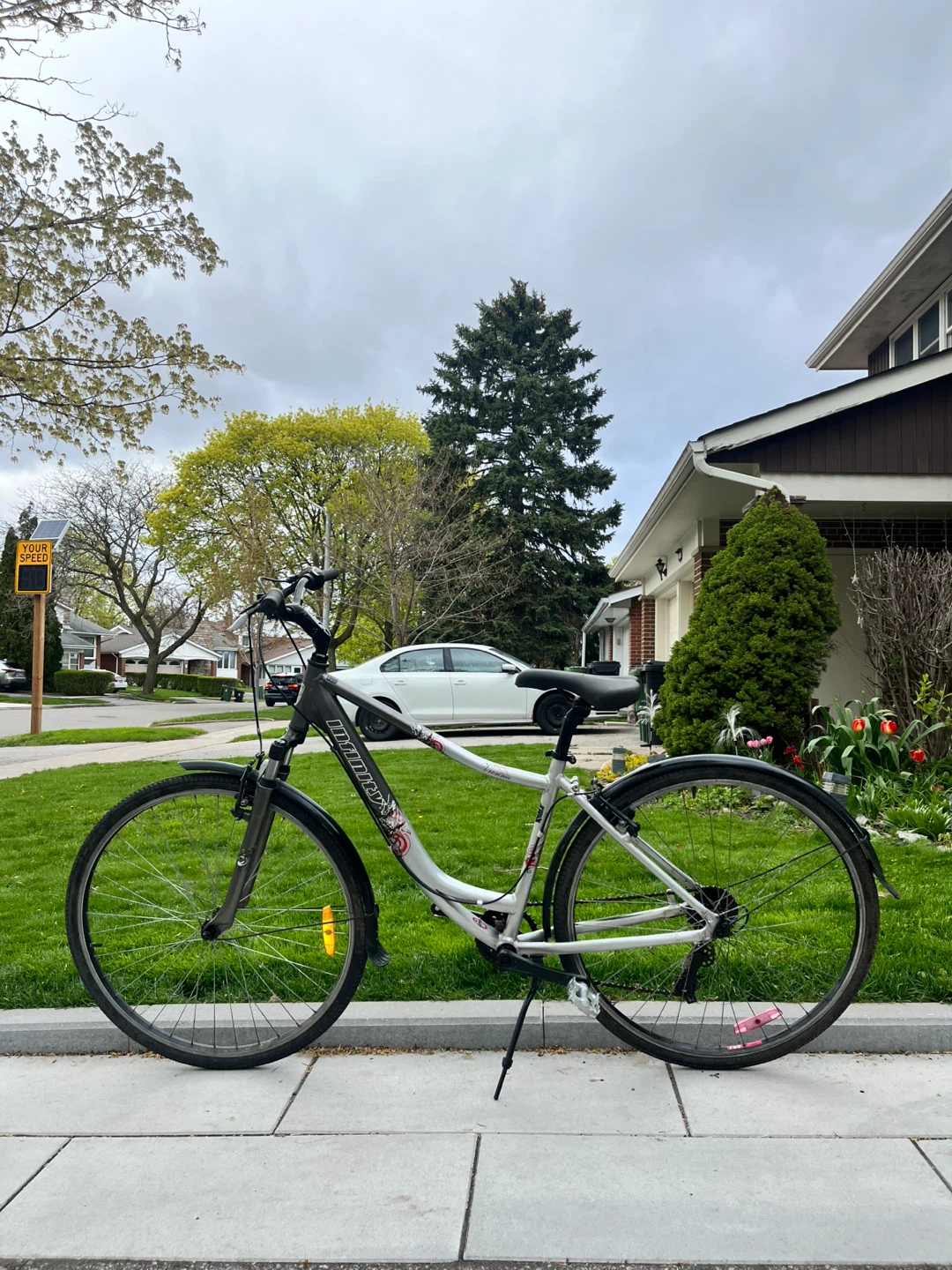 Aluminum Adults Bike (Front Suspension)