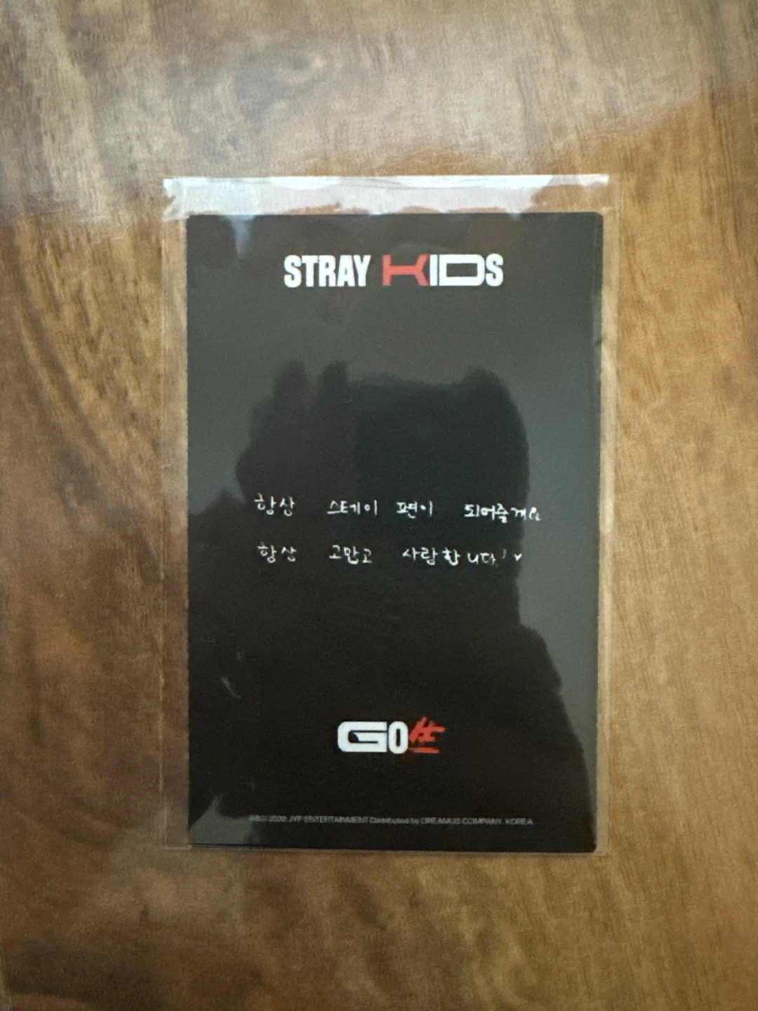 Stray Kids IN PHOTOCARD - photo 2
