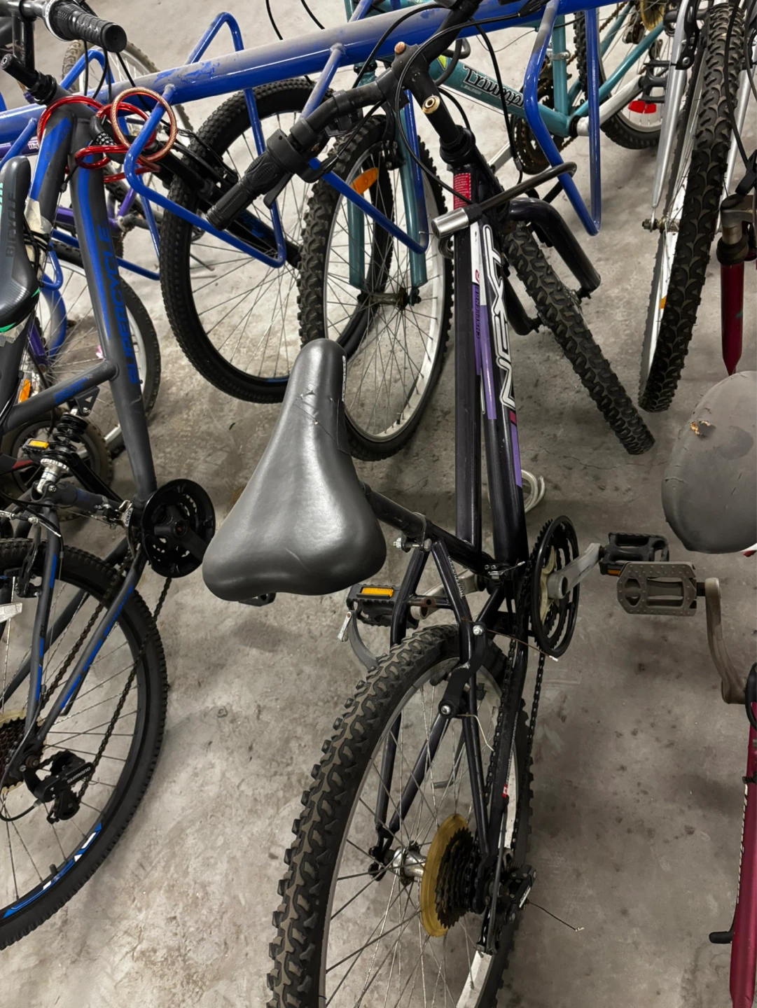 NEXT "Challenge" Kids Mountain Bike