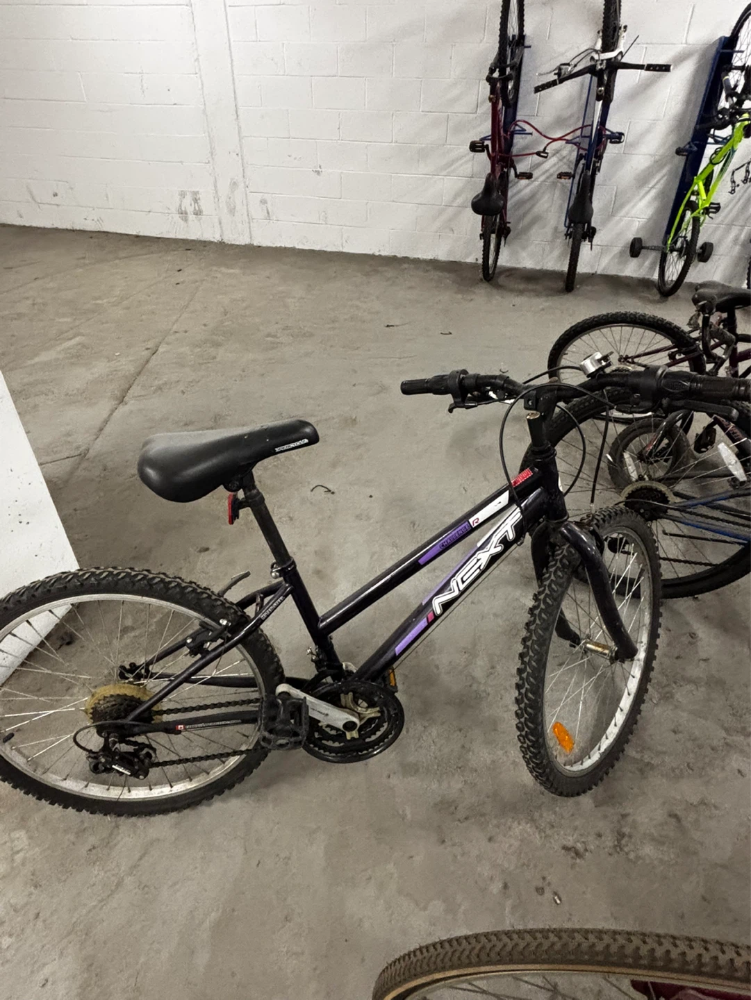 NEXT "Challenge" Kids Mountain Bike - photo 5