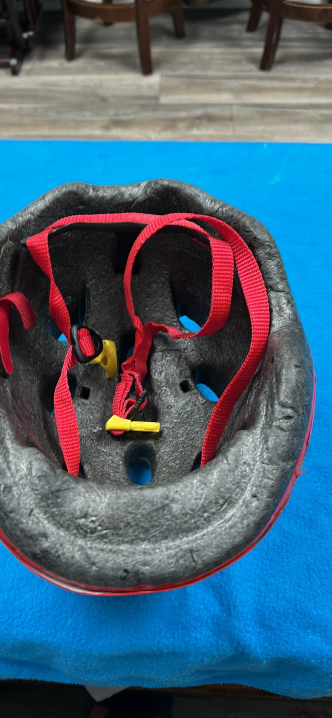 Sesame Street Adult Bicycle Helmet - photo 3