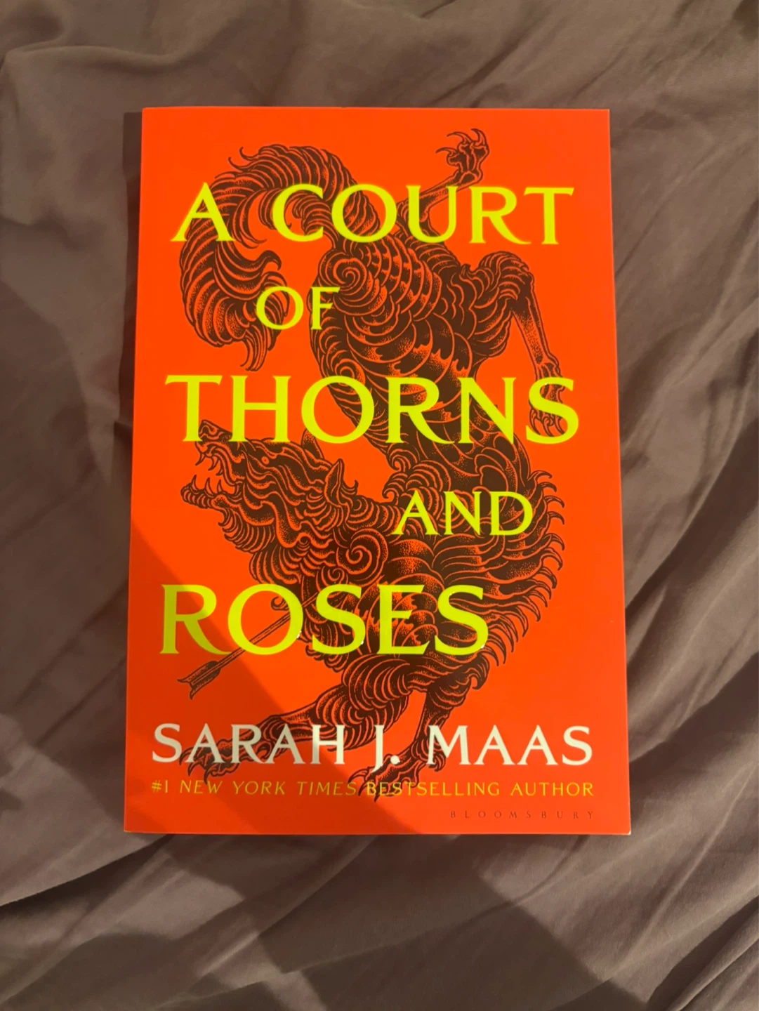 A Court of Thorns and Roses by Sarah J. Maas
