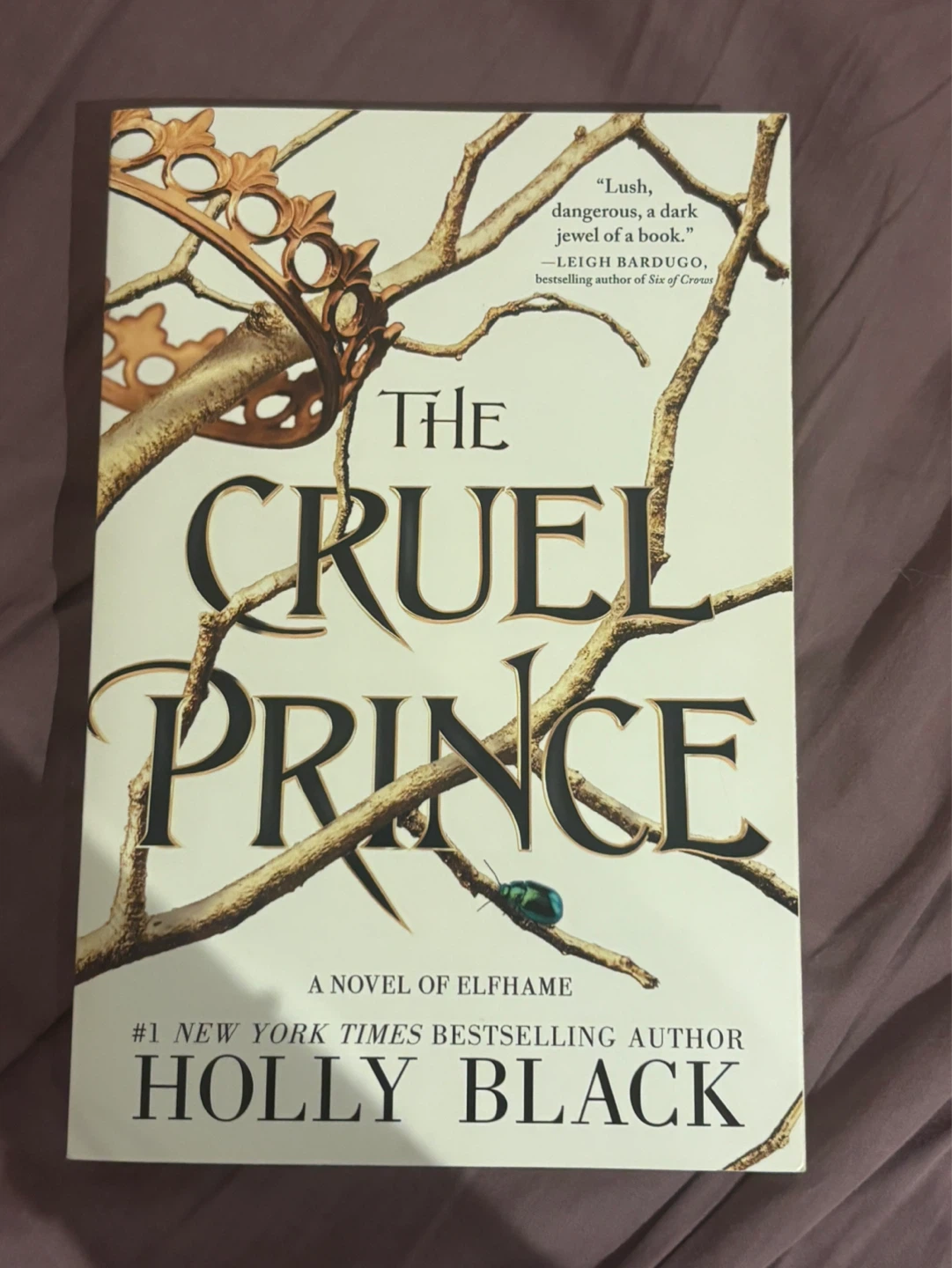 The Cruel Prince by Holly Black Paperback Novel