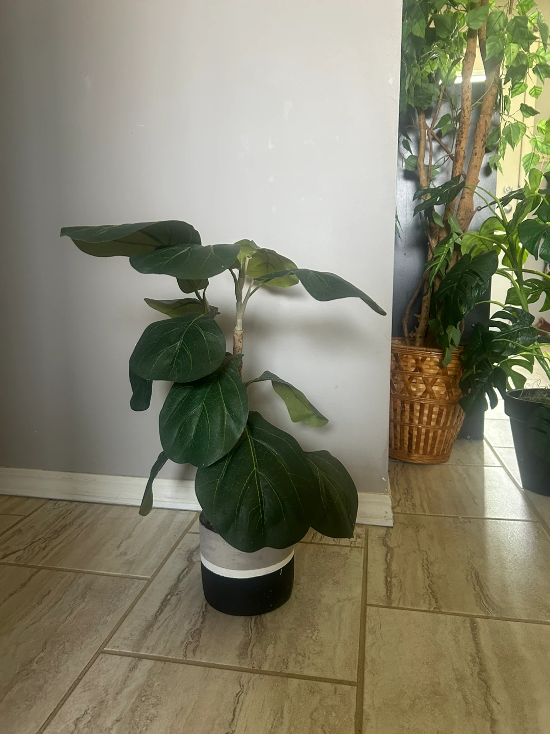 3 artificial plants 🌱 - photo 3