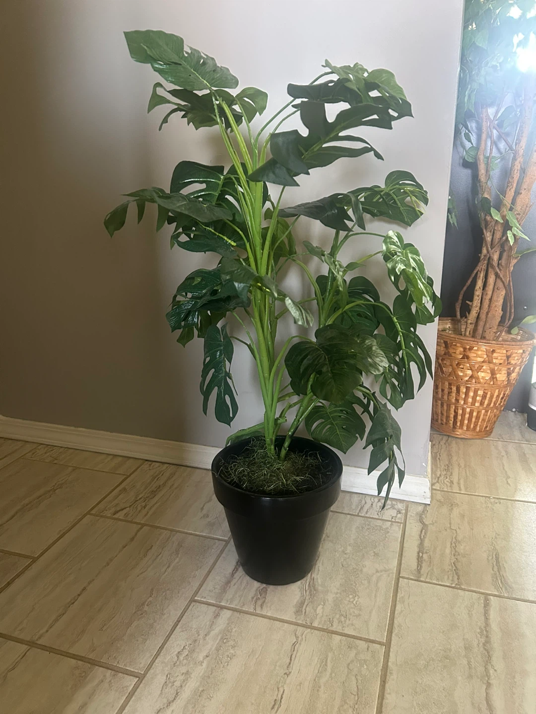 3 artificial plants 🌱 - photo 2