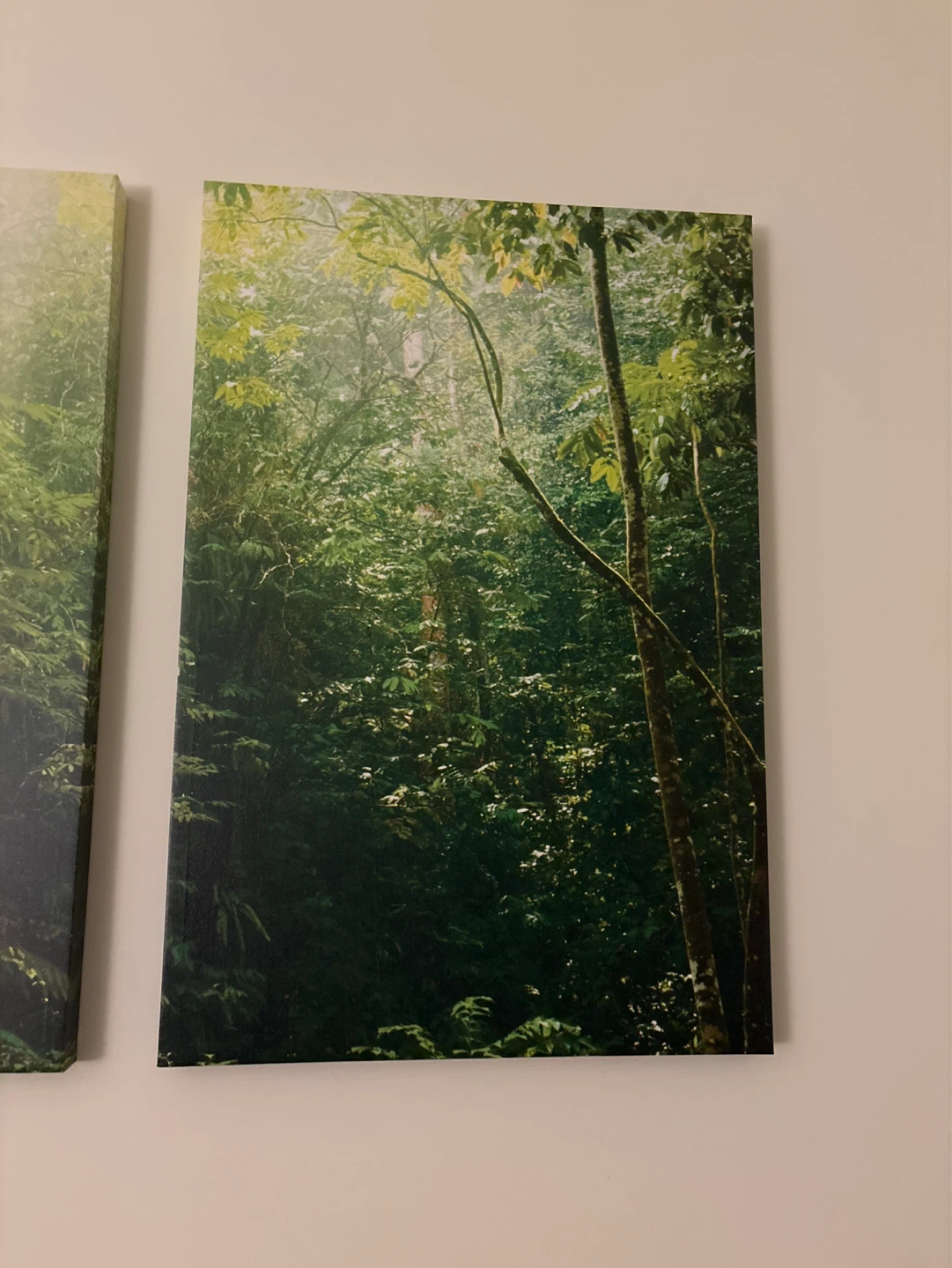 Set of 3 Forest Scene Canvas Prints - photo 4