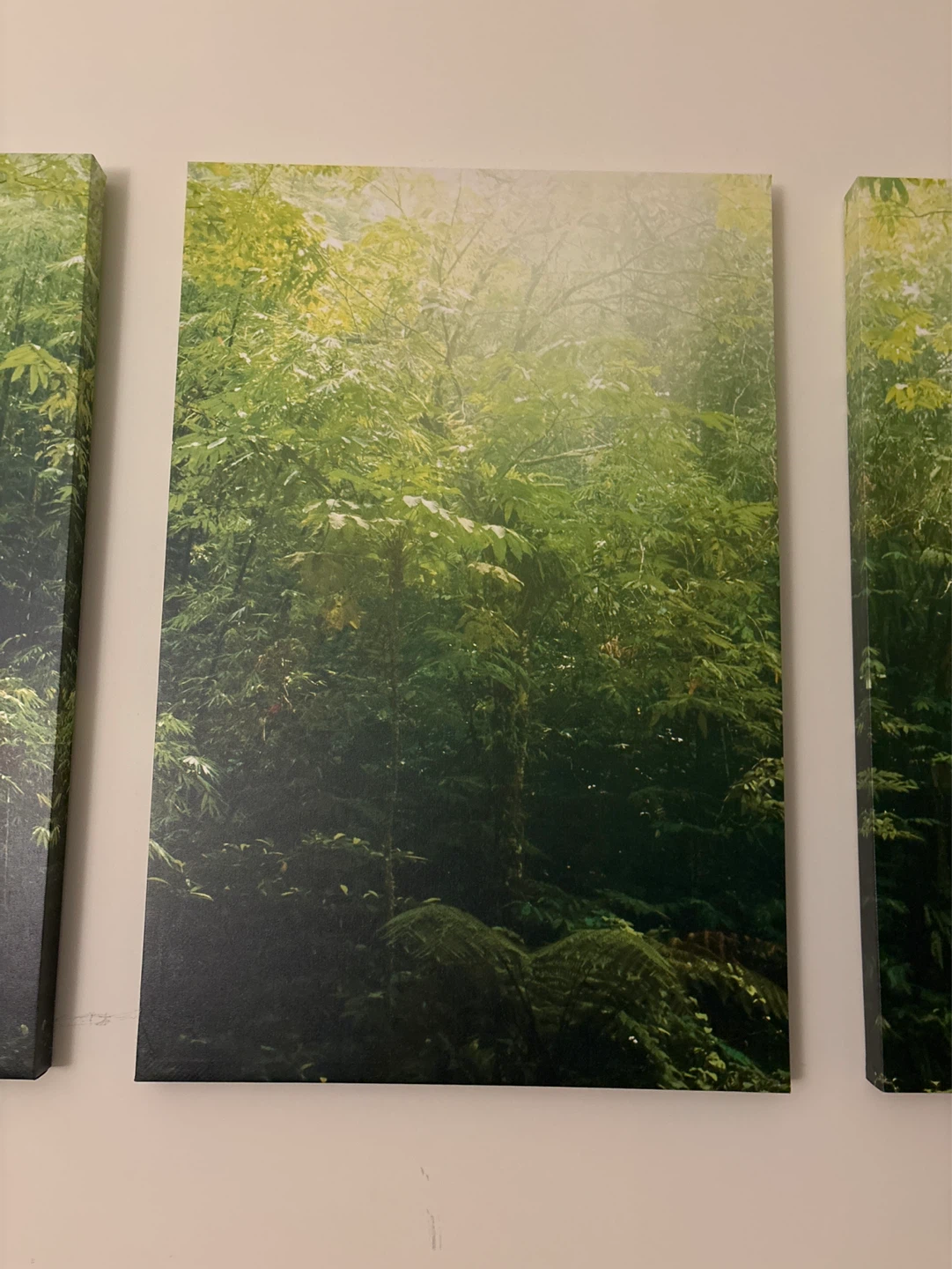 Set of 3 Forest Scene Canvas Prints - photo 3