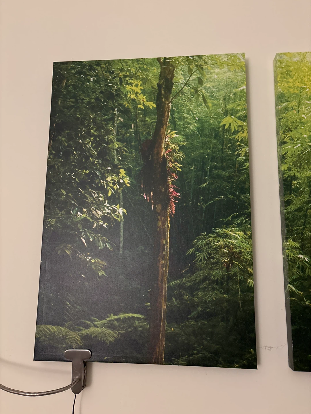 Set of 3 Forest Scene Canvas Prints - photo 2